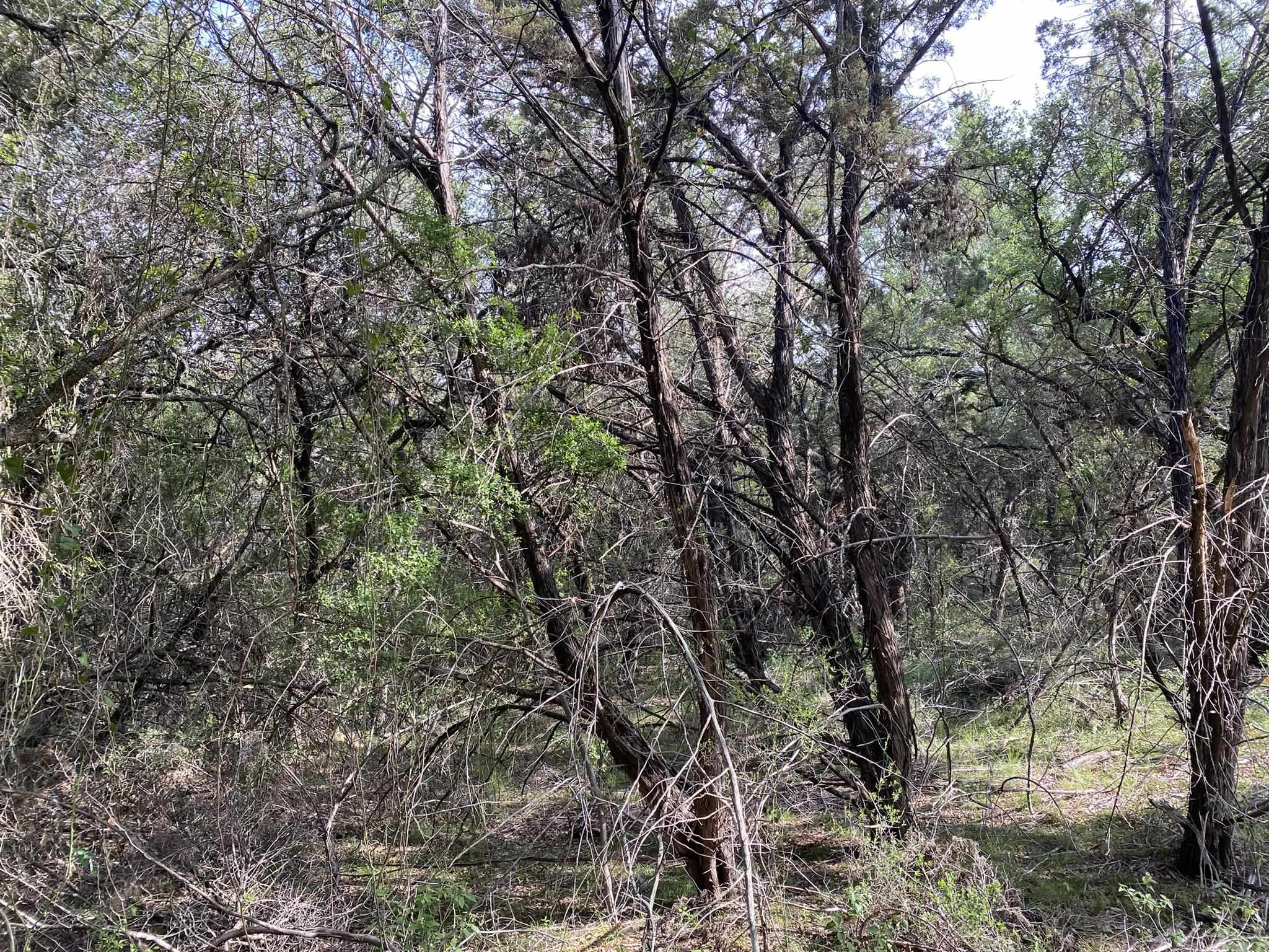 Lot 13108 Mountain Dew (dew Drop) Property Photo 13