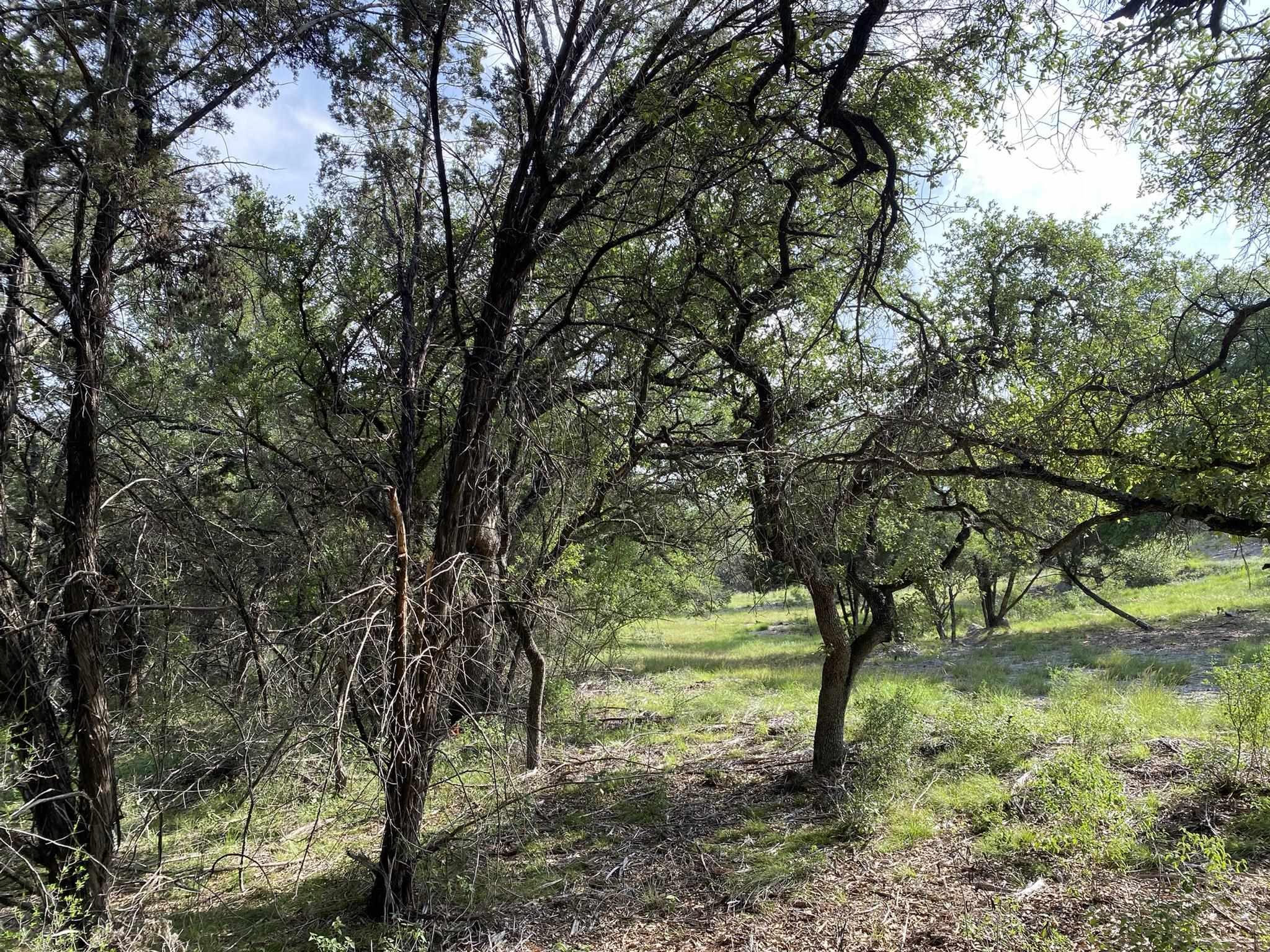 Lot 13108 Mountain Dew (dew Drop) Property Photo 15