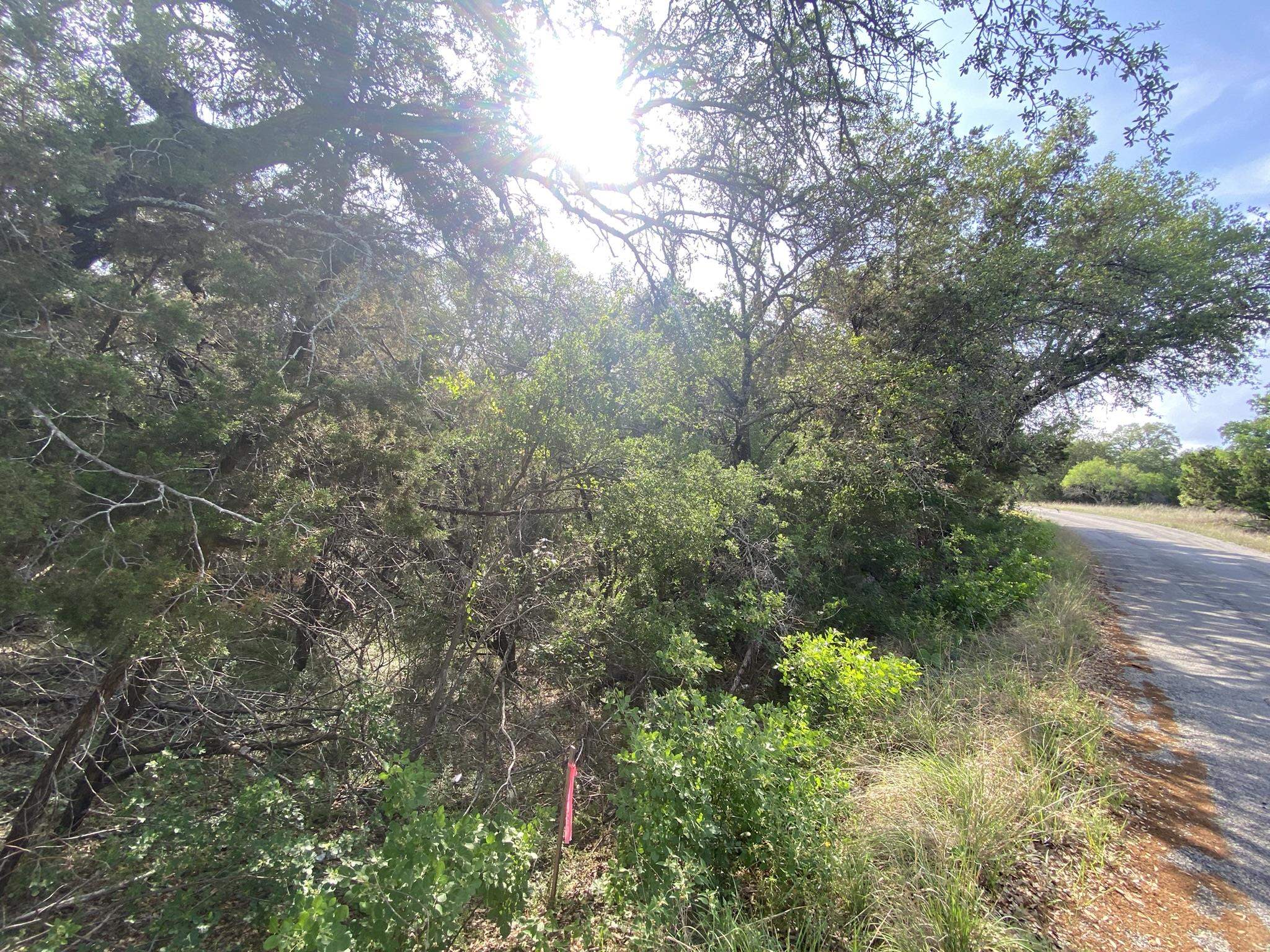 Lot 13108 Mountain Dew (dew Drop) Property Photo 19