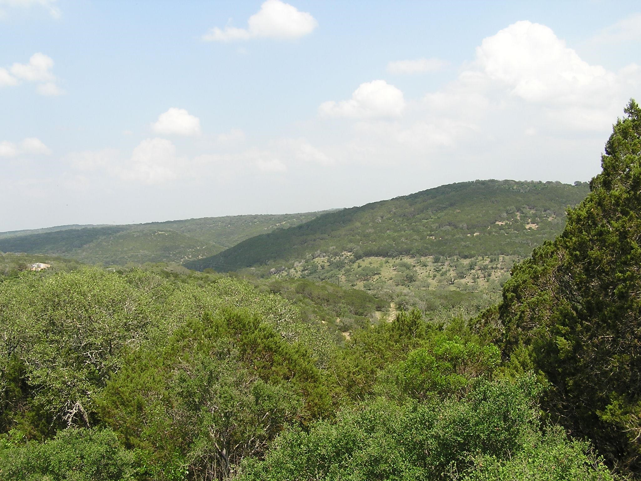 Mcw 3 Wolf Creek Ranch Road Property Photo 4