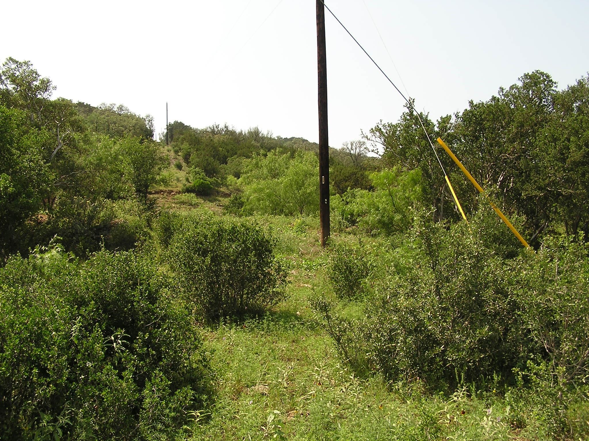 Mcw 3 Wolf Creek Ranch Road Property Photo 11