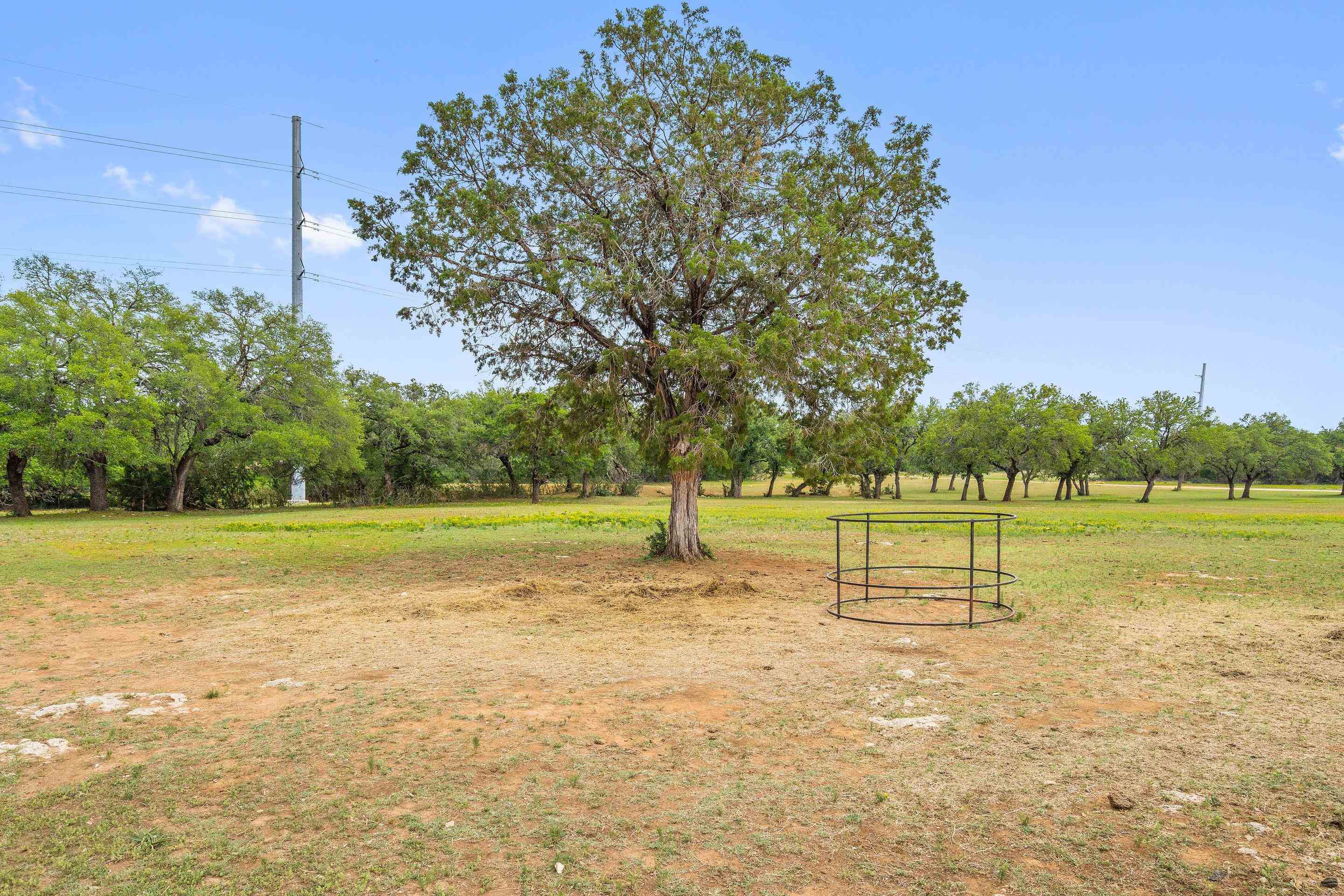 1703 N Us Hwy 281 Property Photo 25