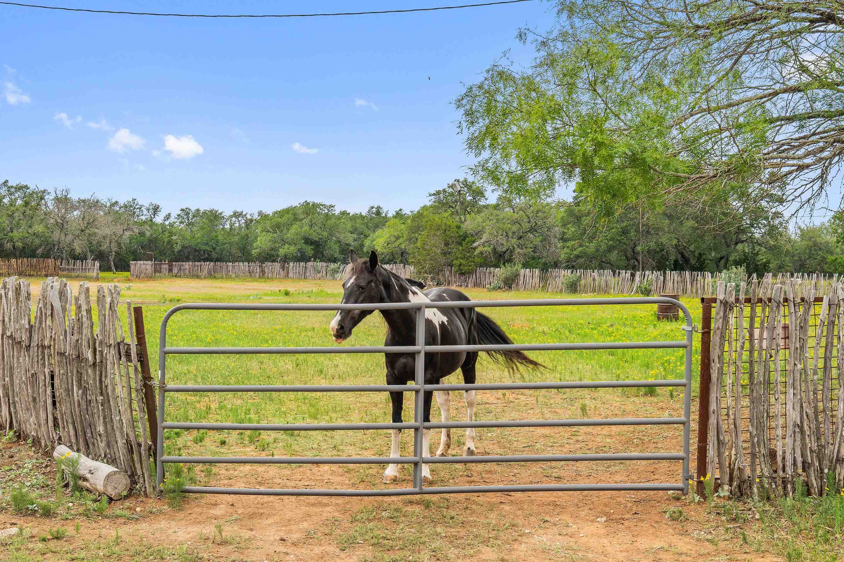 1703 N Us Hwy 281 Property Photo 26