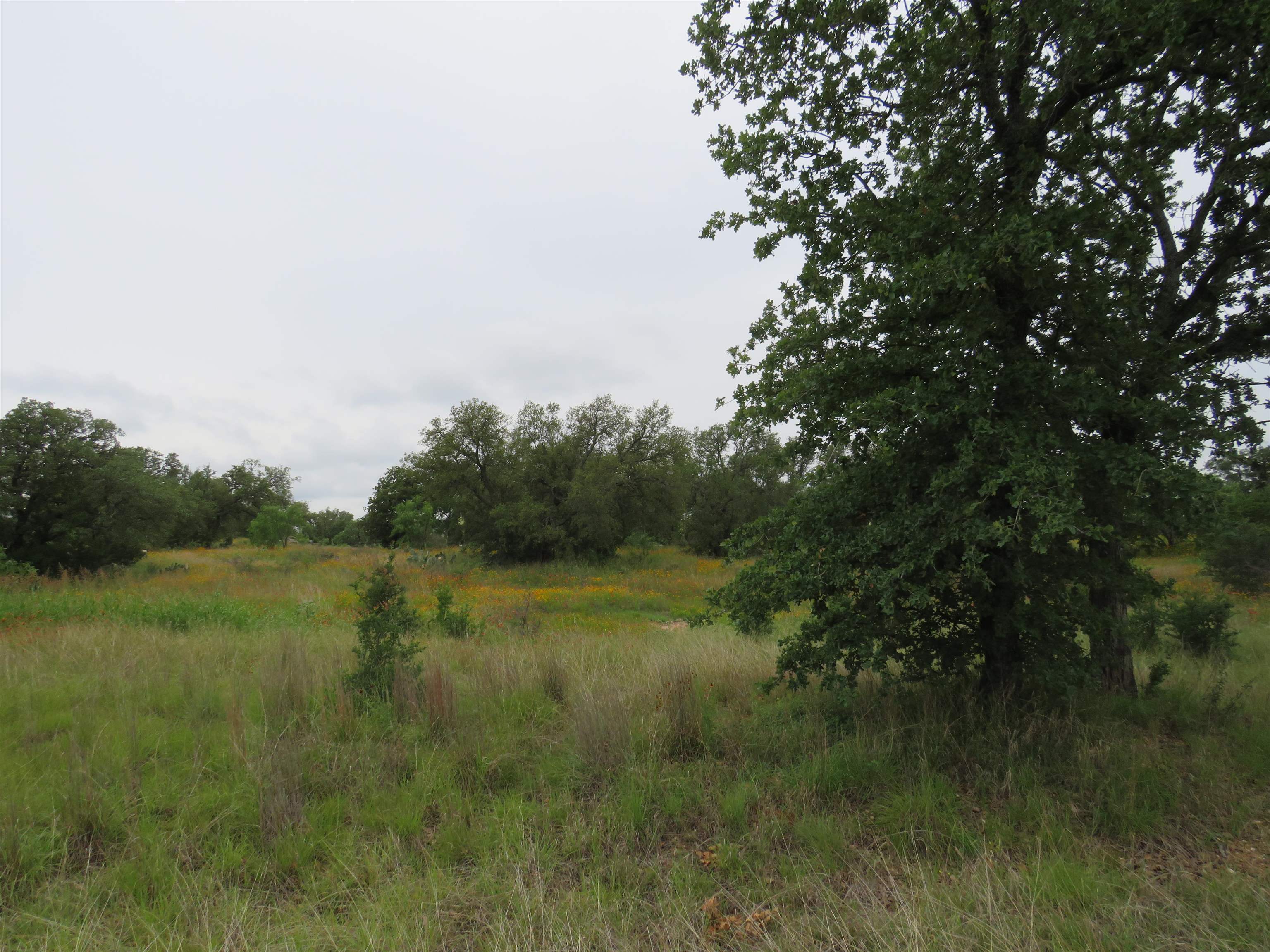 Lot 42 Keystone Ridge Property Photo 8