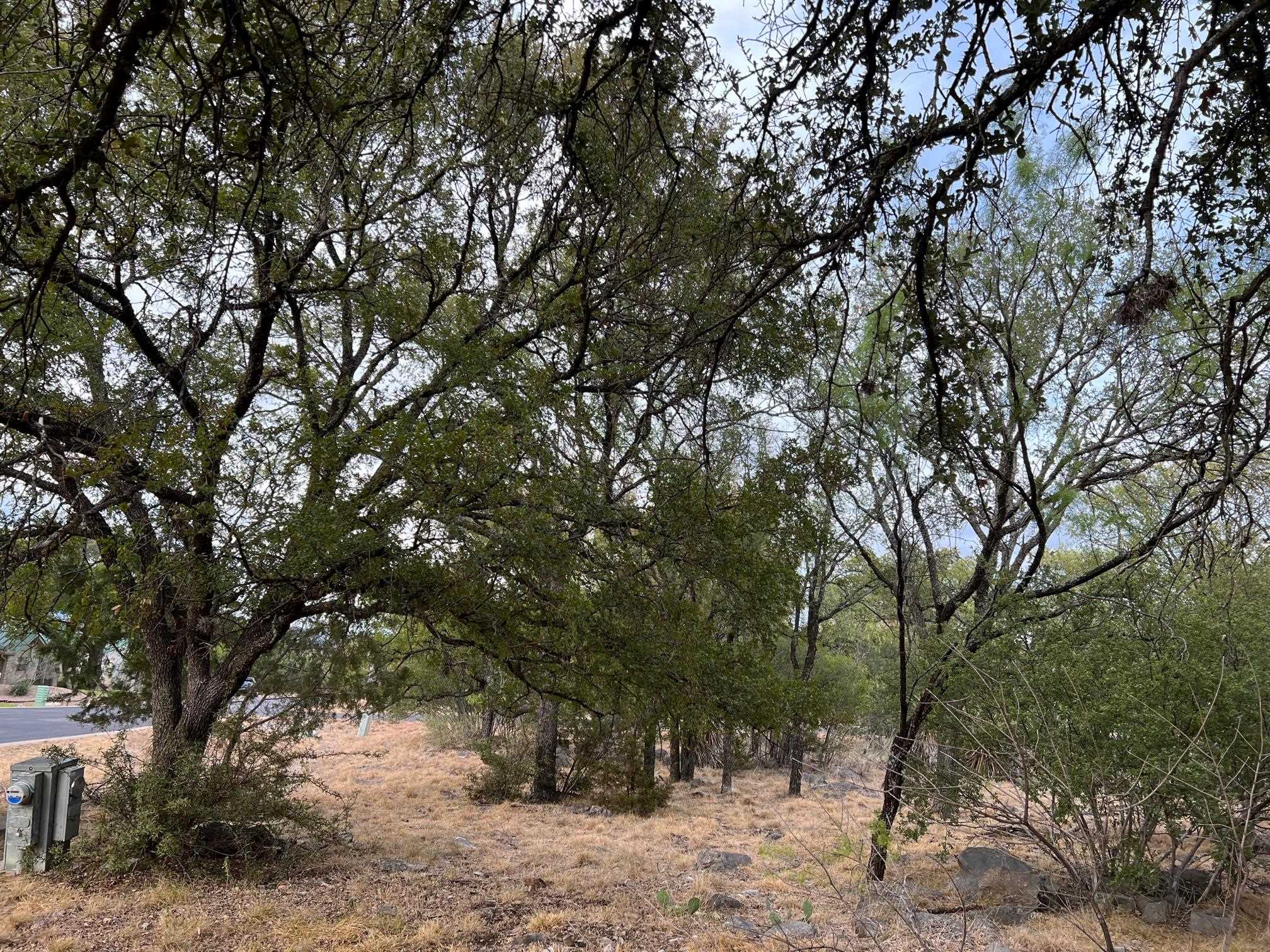 4133 Out Yonder Drive Property Photo 4