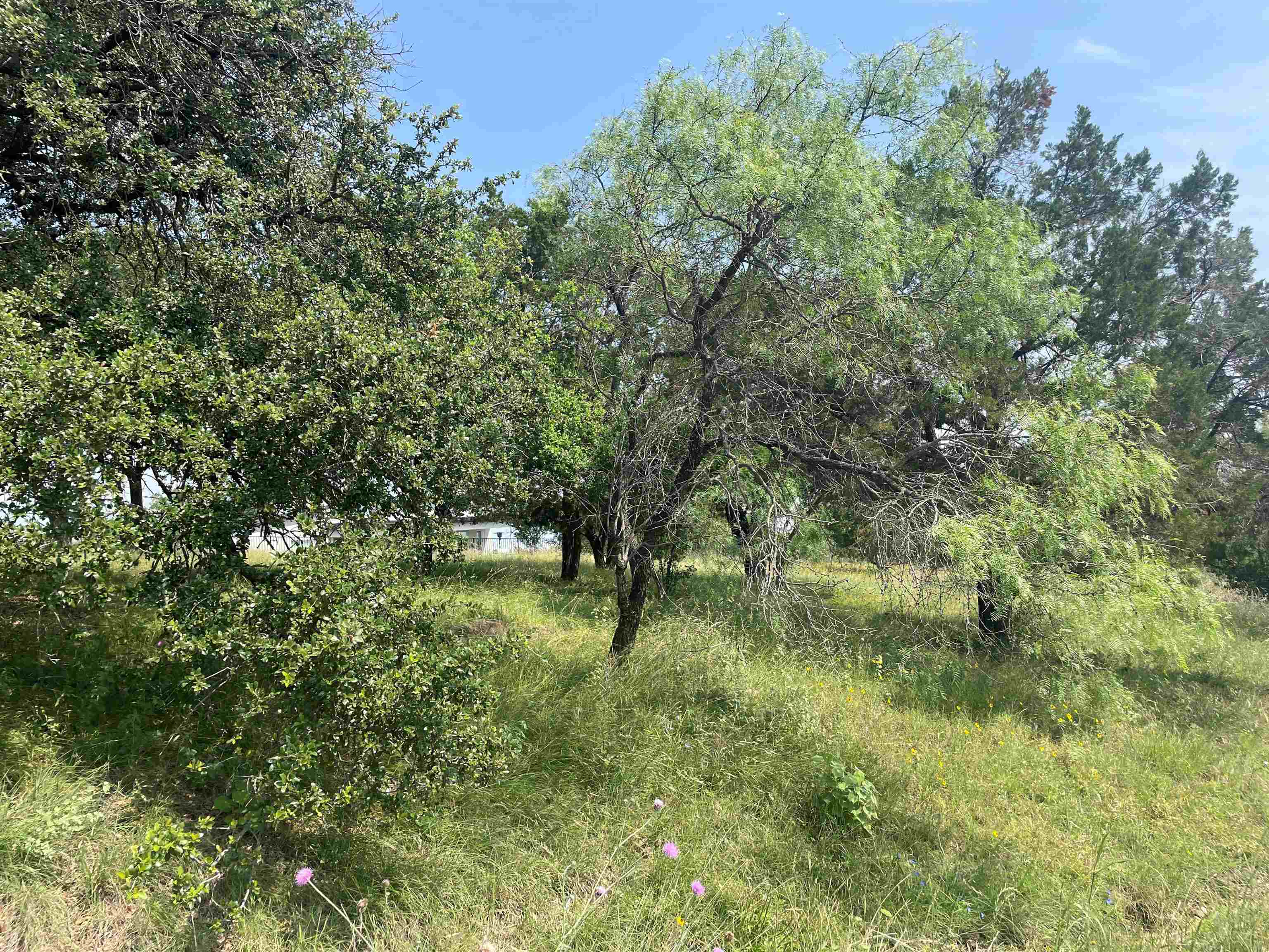 W18076 Spider Valley Property Photo 2