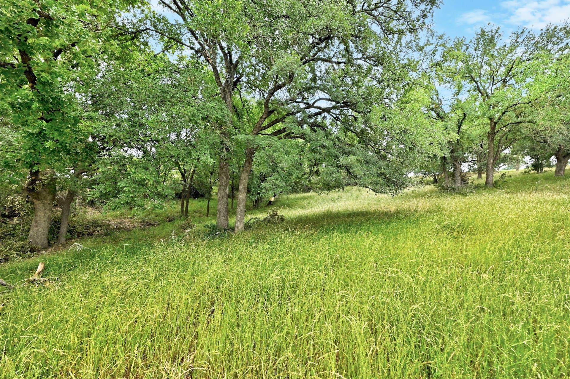 102 Florentine Common Property Photo 8