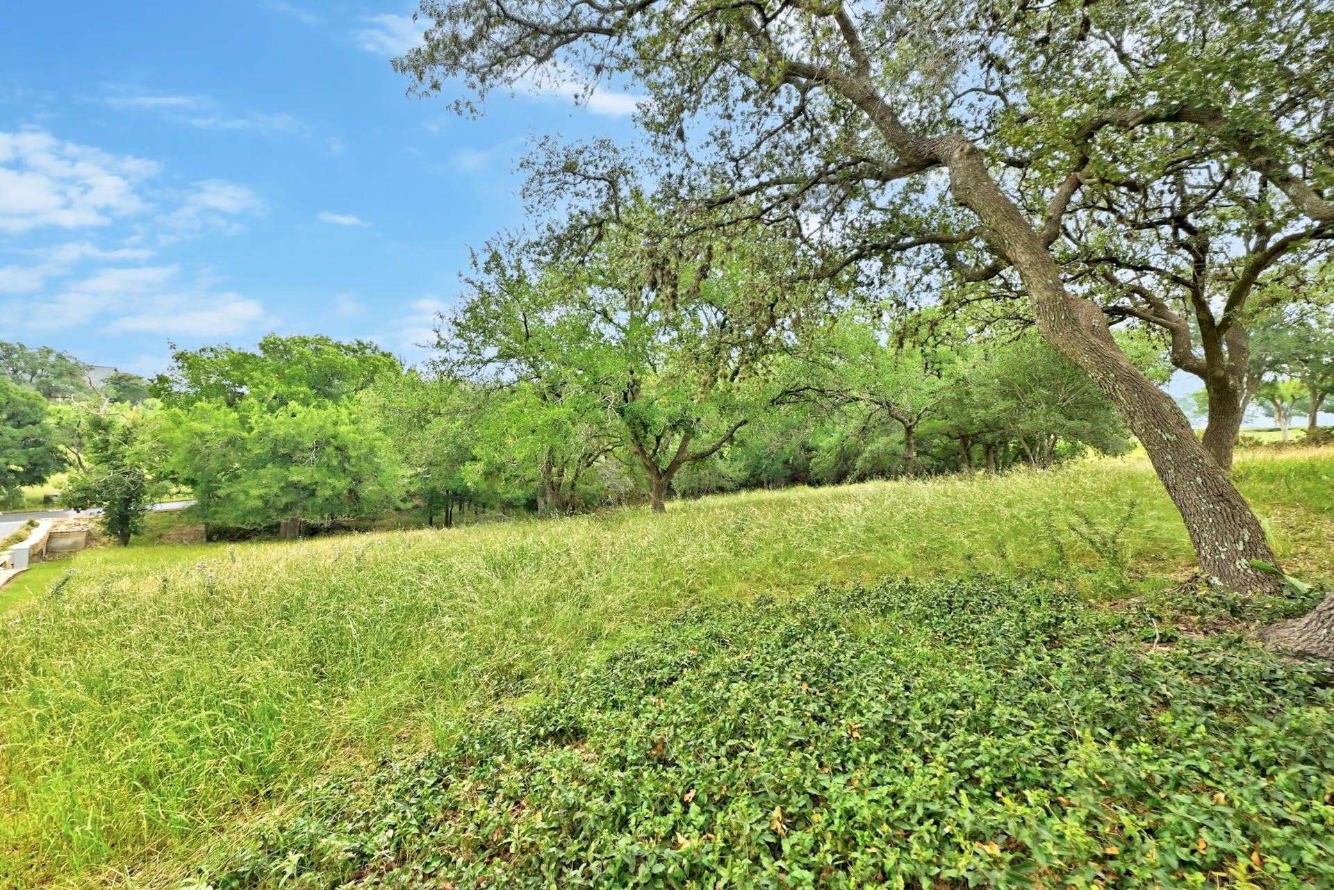 102 Florentine Common Property Photo 9