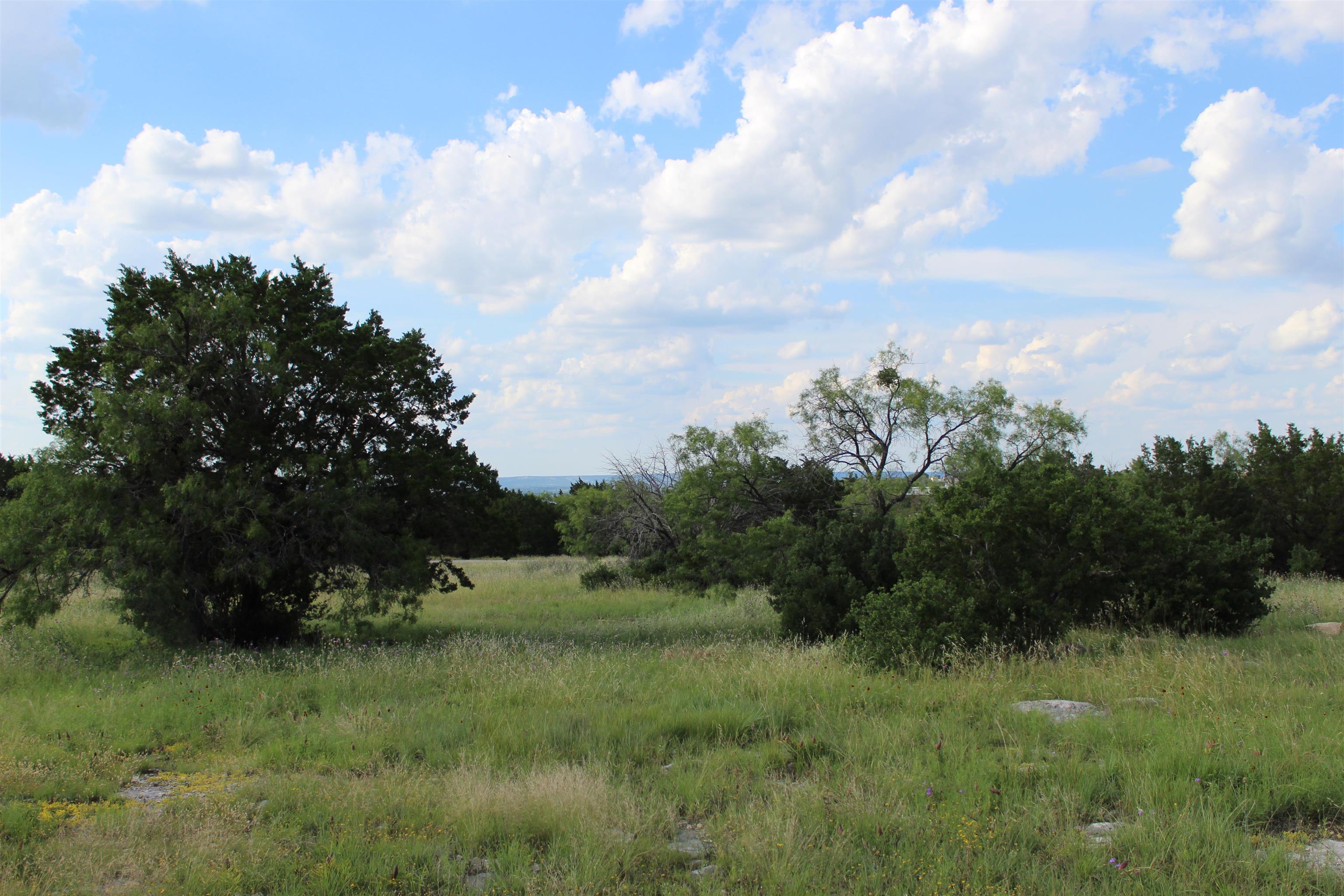 Lot 22030 Long Shot Property Photo 1