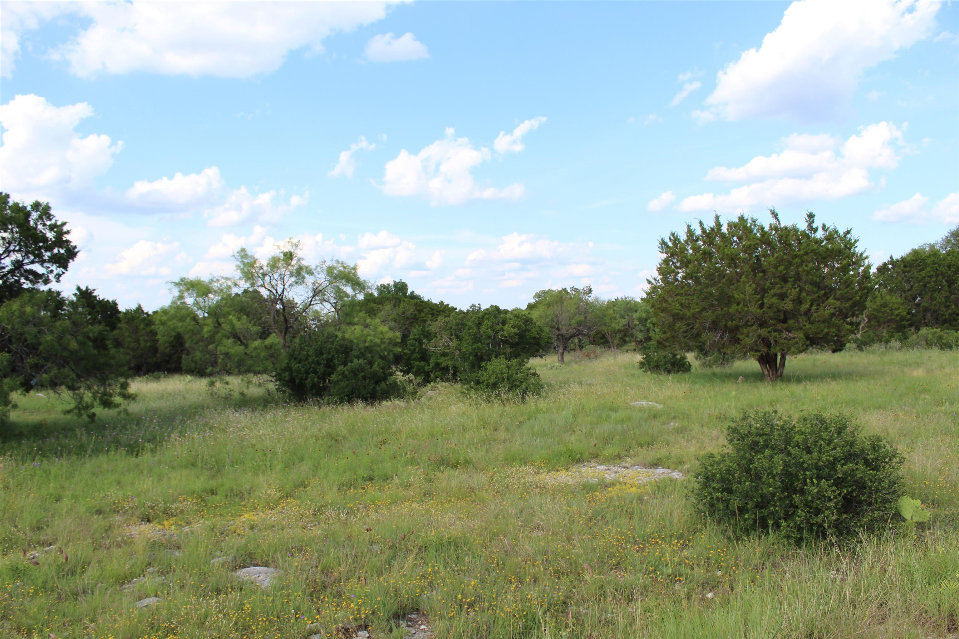 Lot 22030 Long Shot Property Photo 6