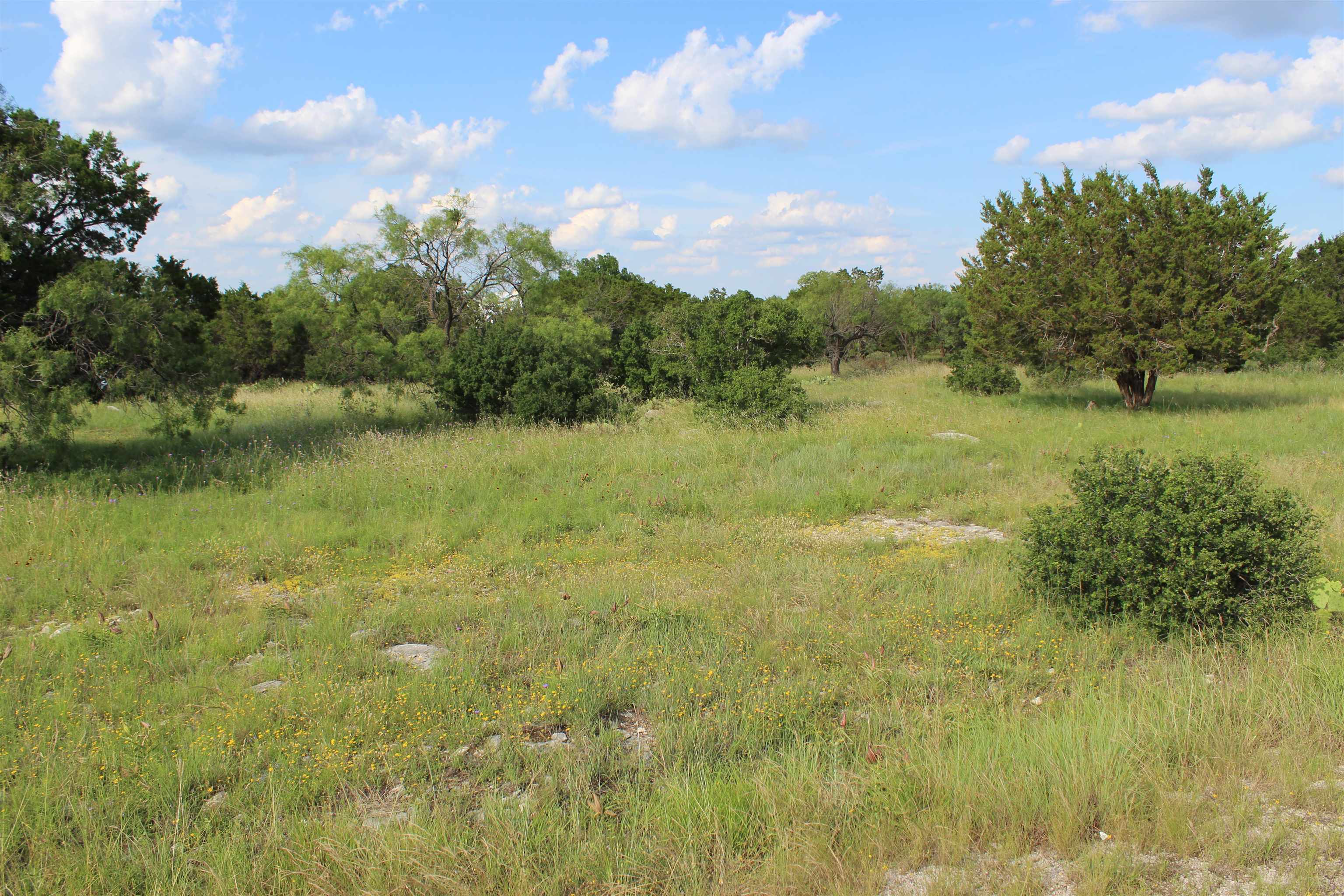 Lot 22030 Long Shot Property Photo 8