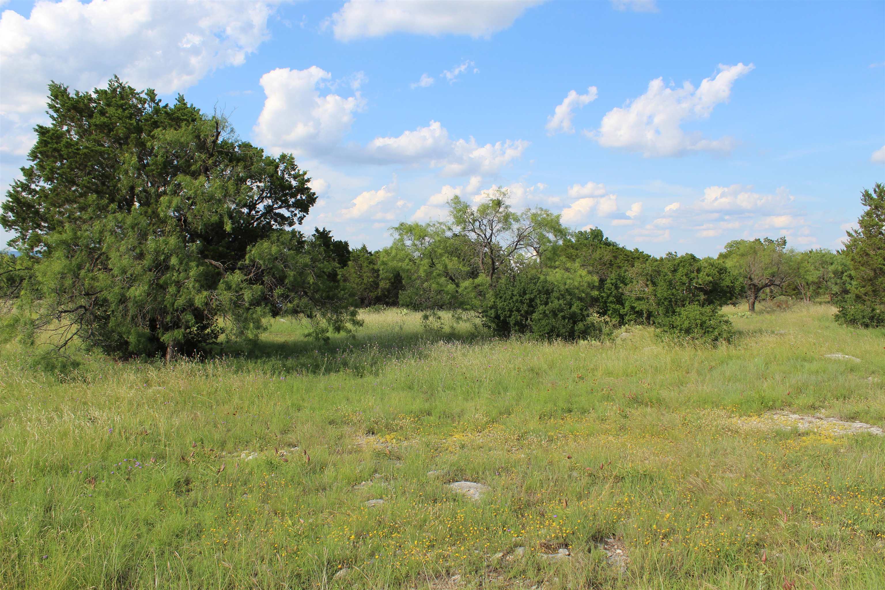 Lot 22030 Long Shot Property Photo 9
