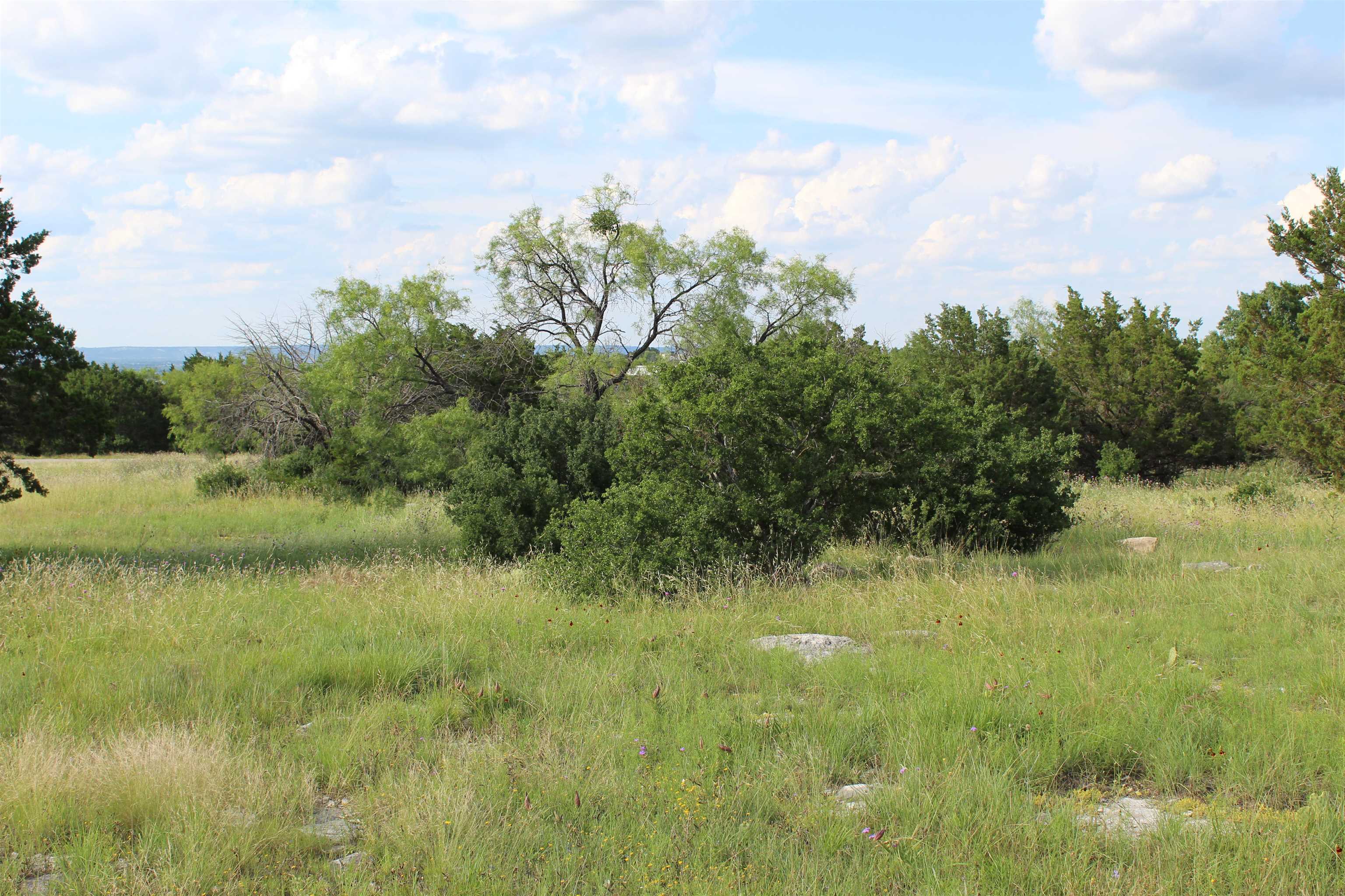 Lot 22030 Long Shot Property Photo 10