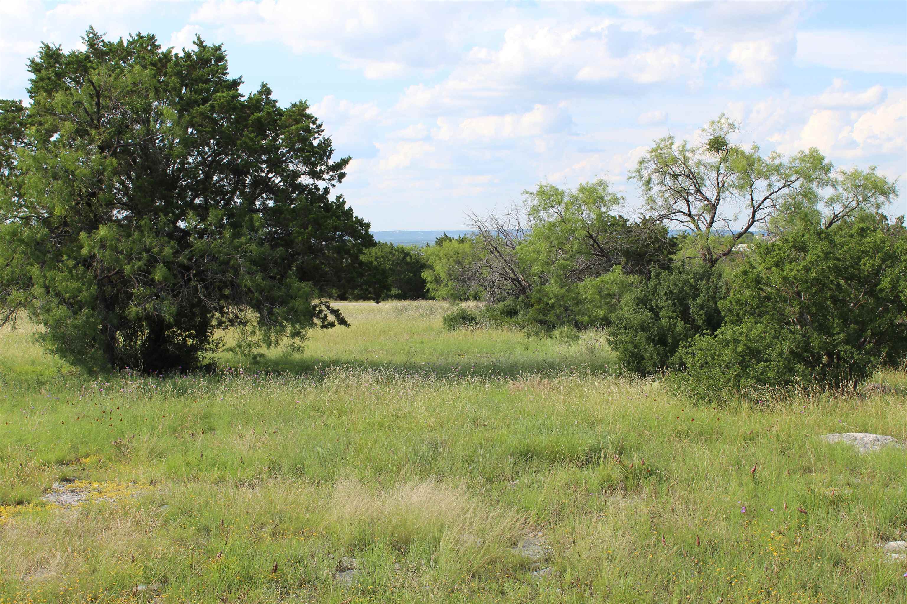 Lot 22030 Long Shot Property Photo 11