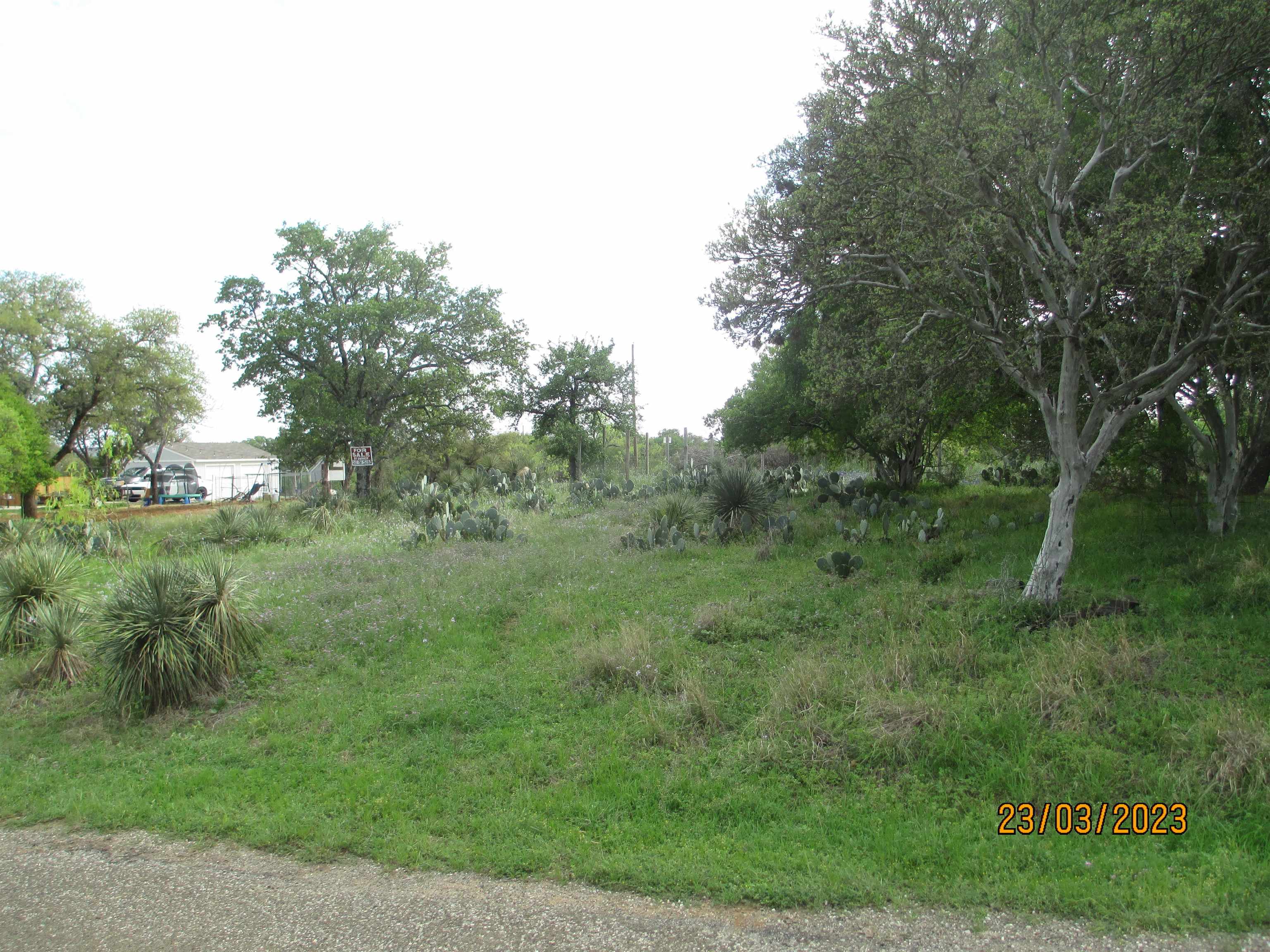 9063 9064 Cedar Hill Property Photo 2