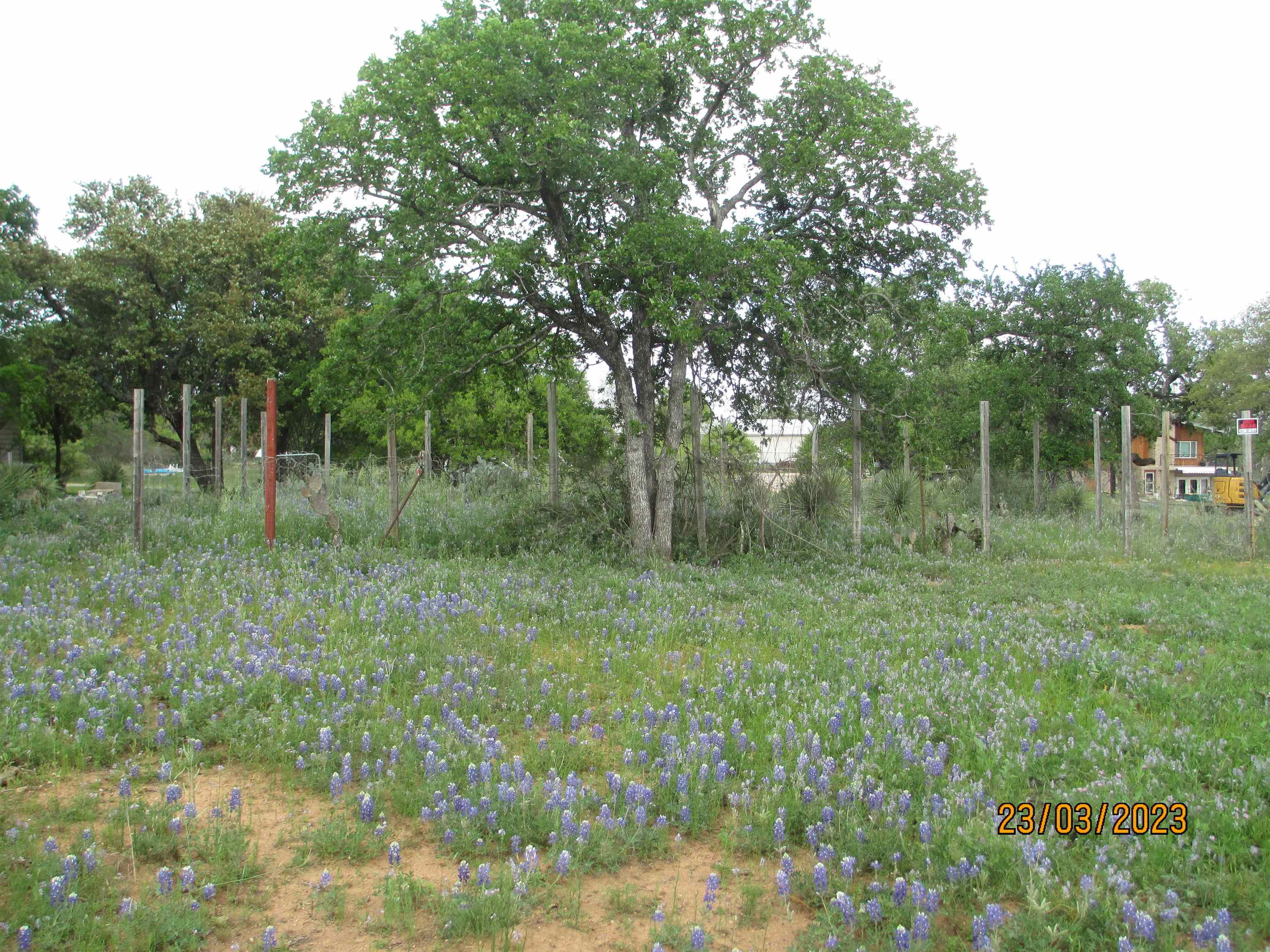 9063 9064 Cedar Hill Property Photo 3