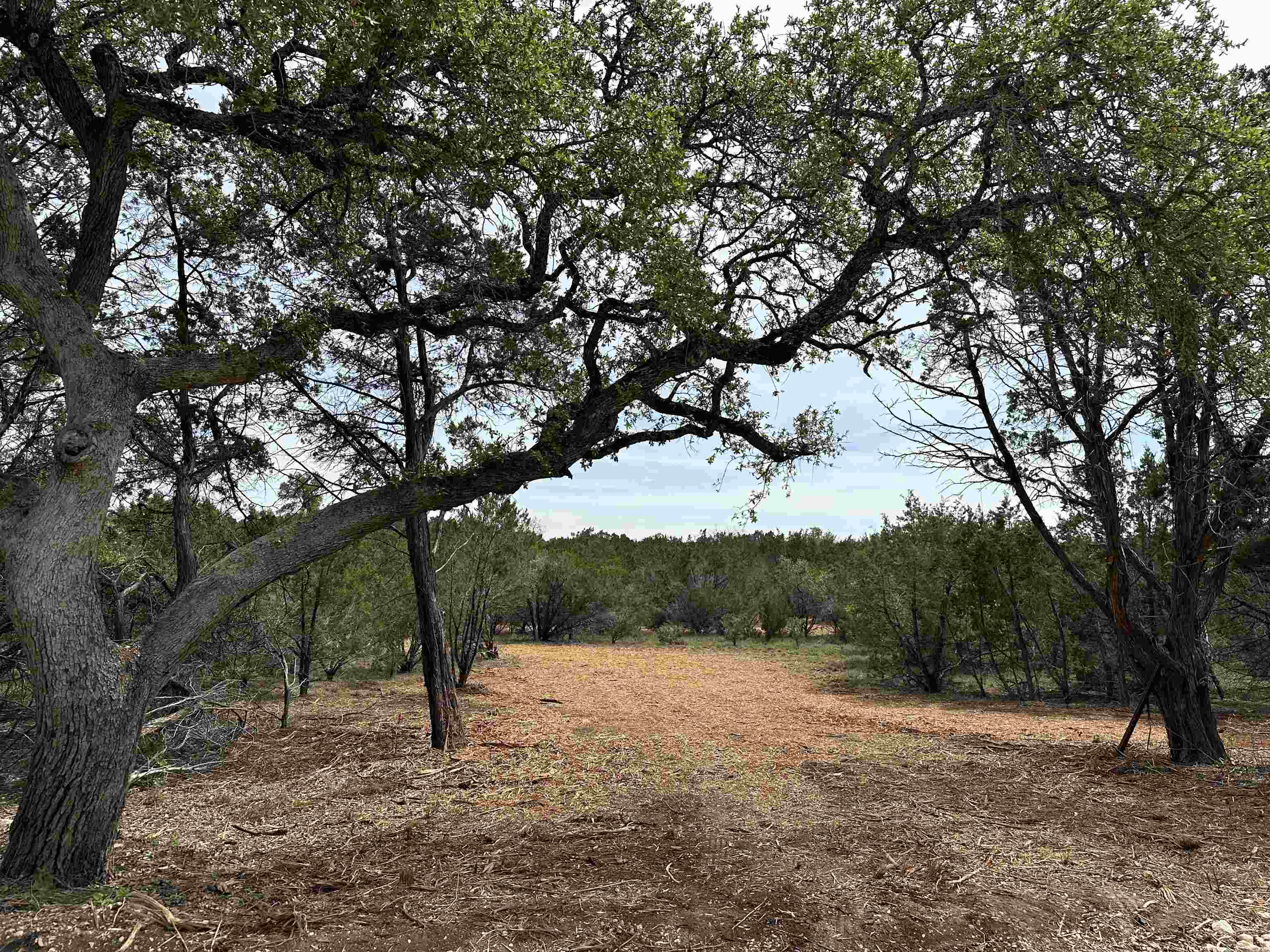 00 Dews Road Property Photo 1