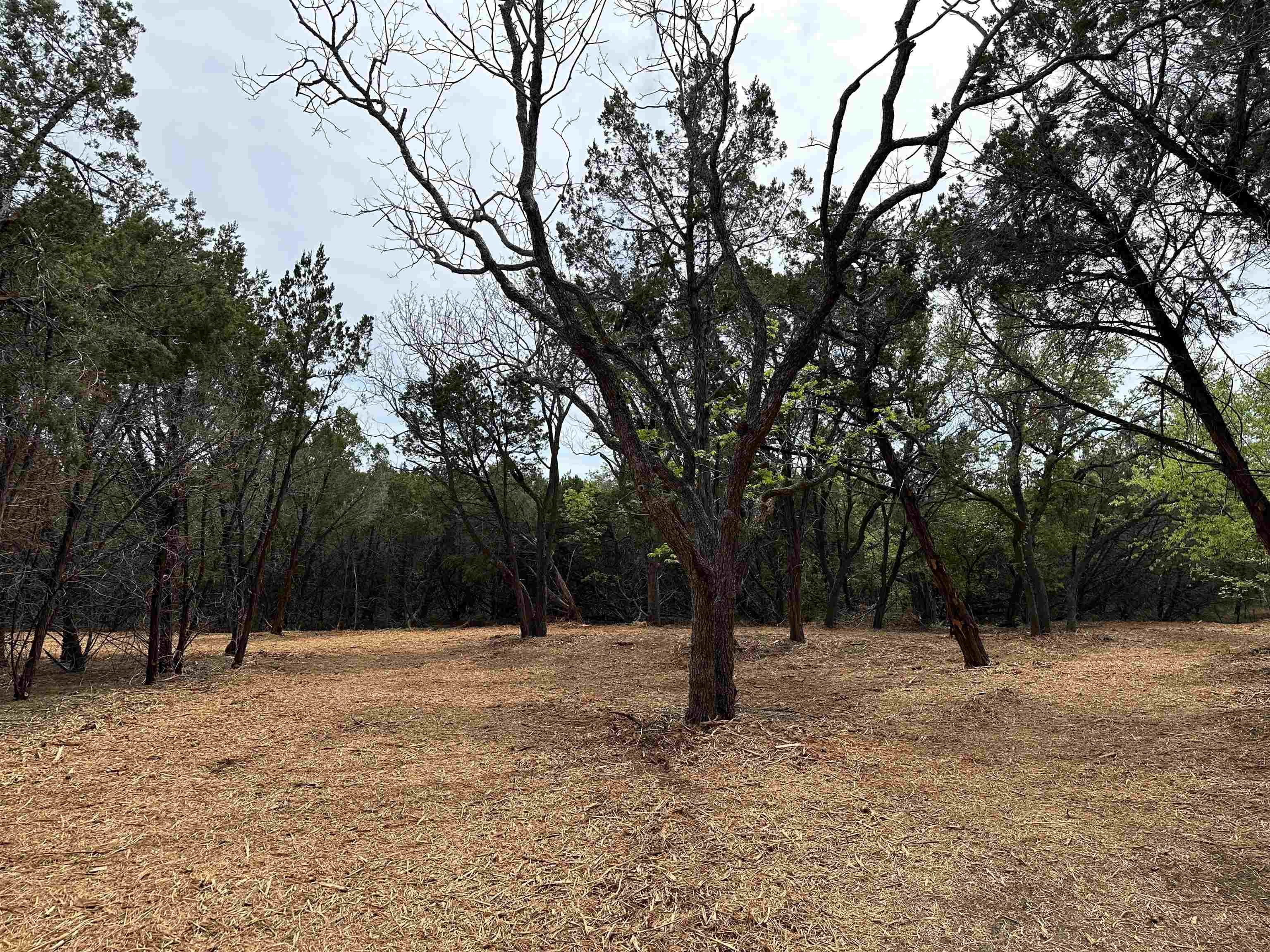 00 Dews Road Property Photo 3