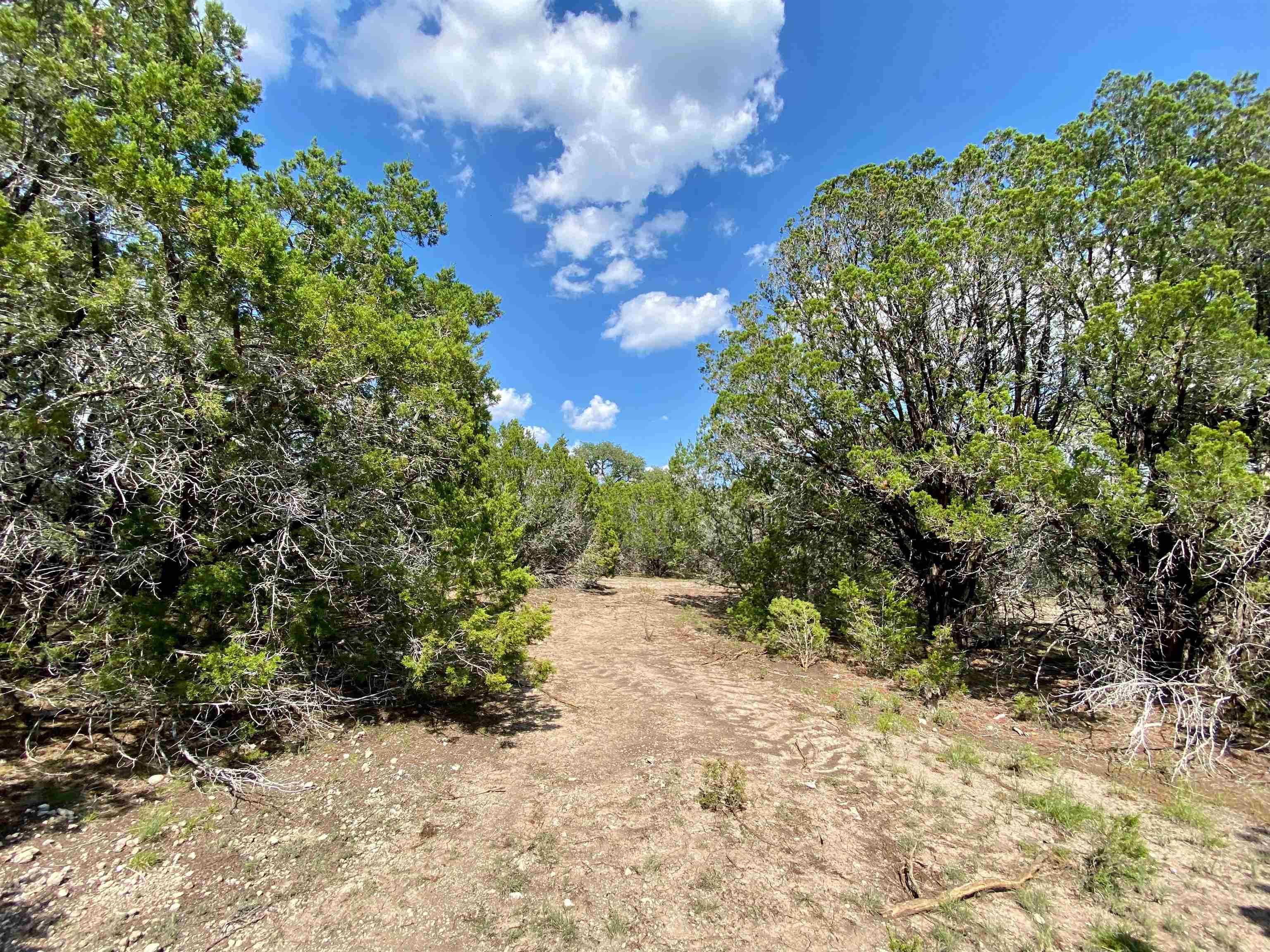 Lot 1 Cr 108 Property Photo 7