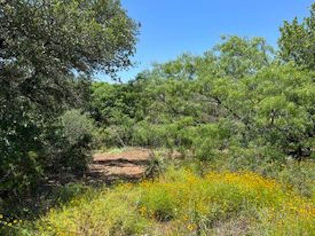 Tbd Cr 132a Property Photo 2