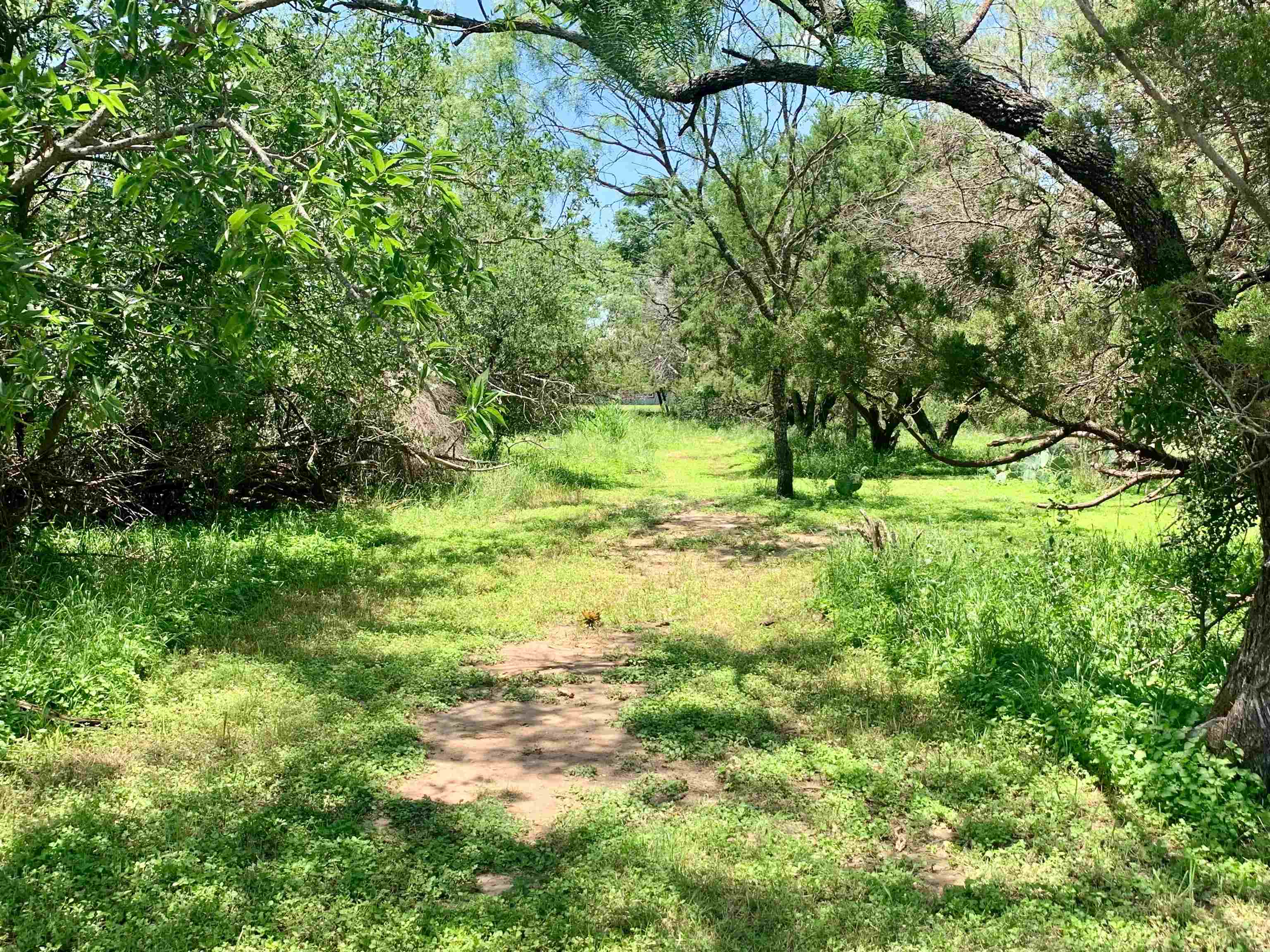 Tbd Aspen Lane Property Photo 1