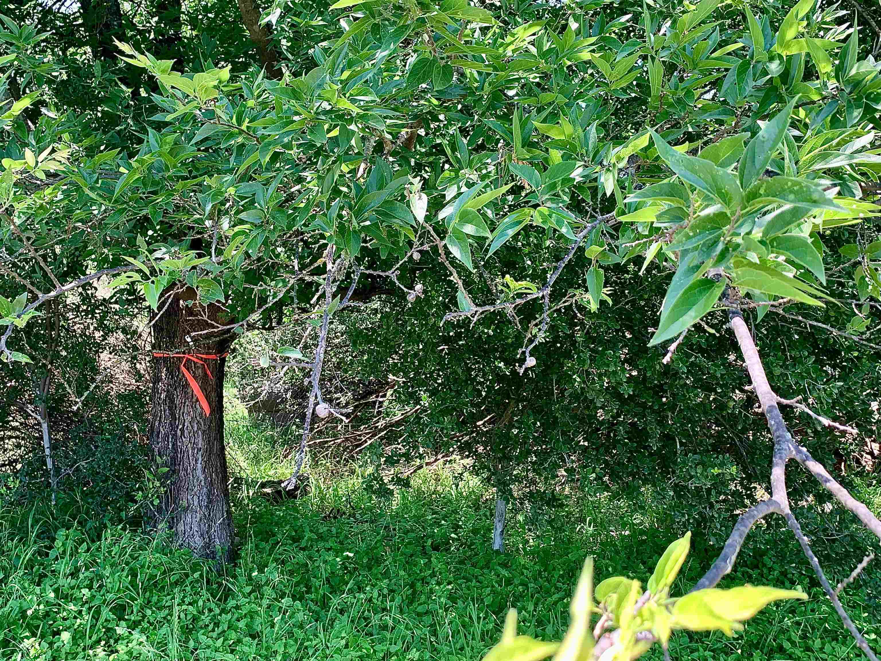 Tbd Aspen Lane Property Photo 2
