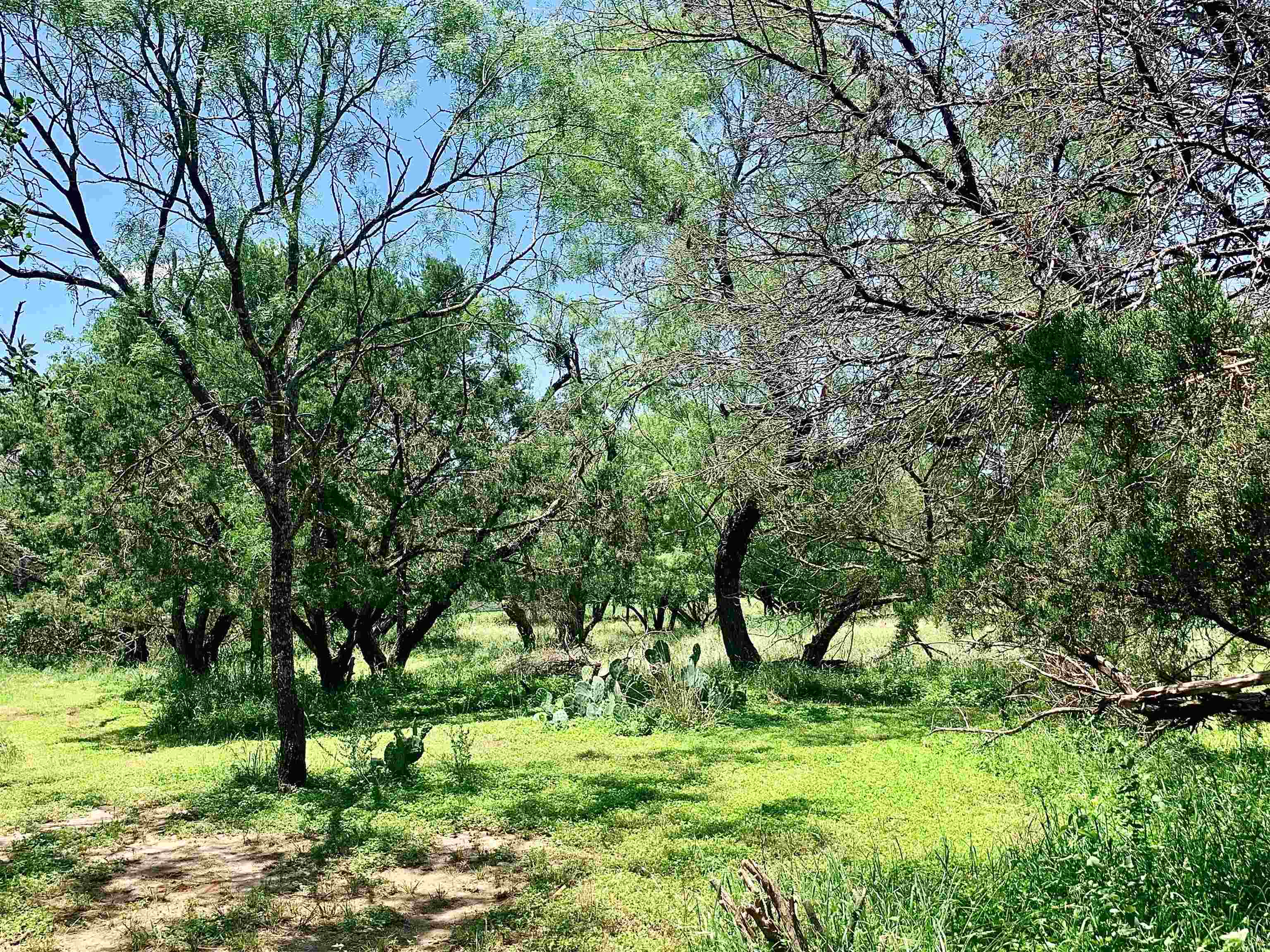 Tbd Aspen Lane Property Photo 3