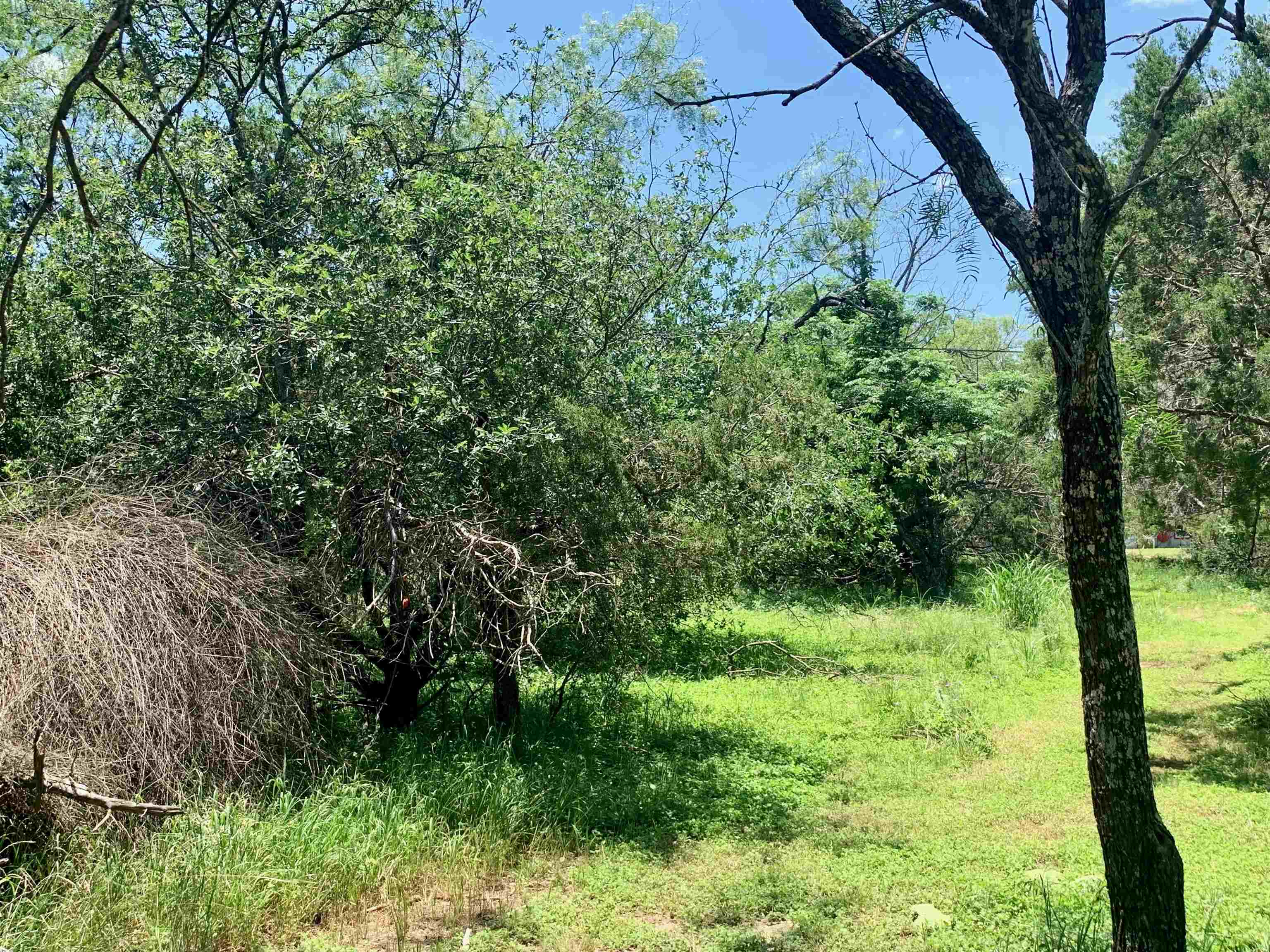 Tbd Aspen Lane Property Photo 4