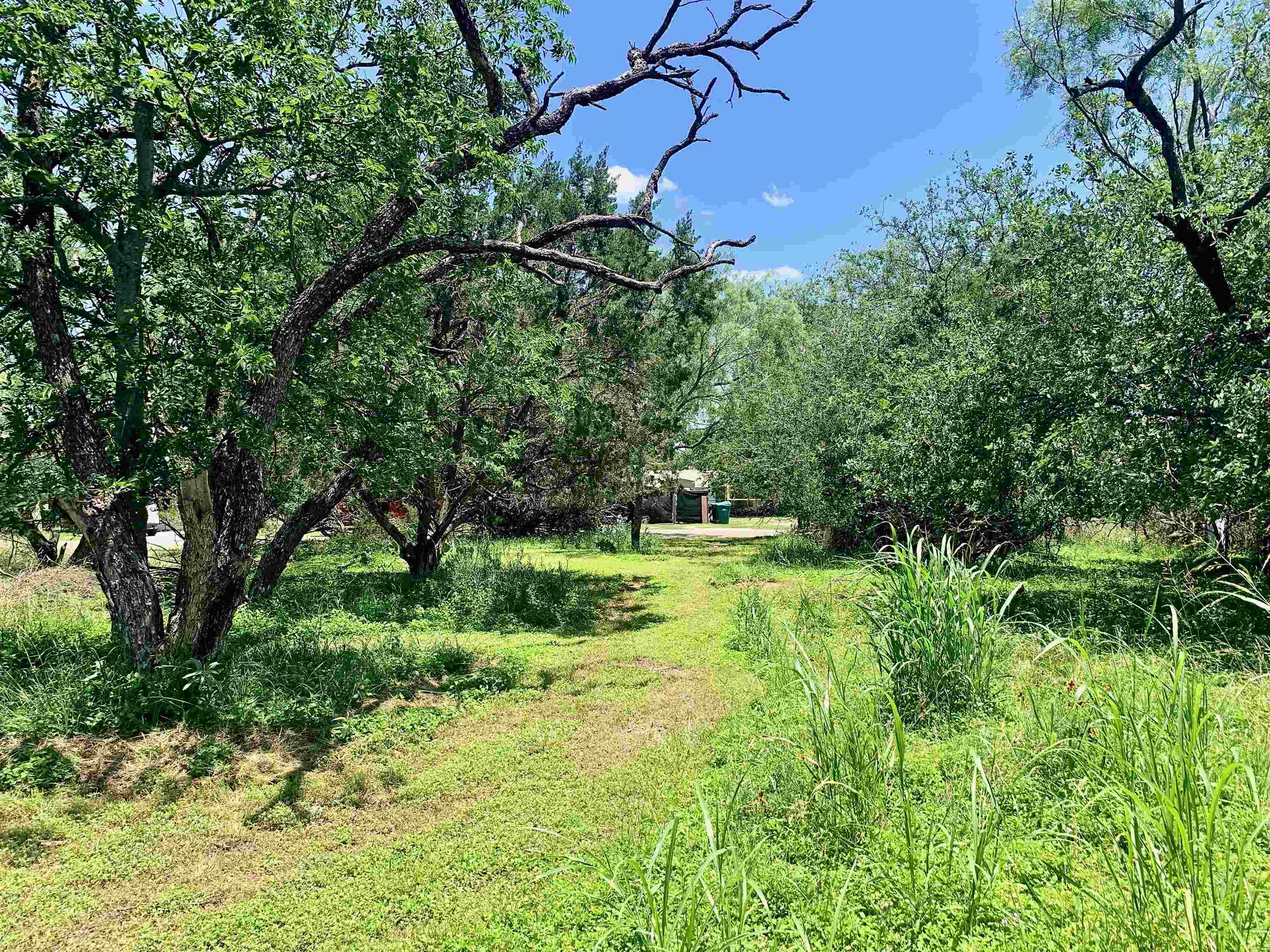 Tbd Aspen Lane Property Photo 6