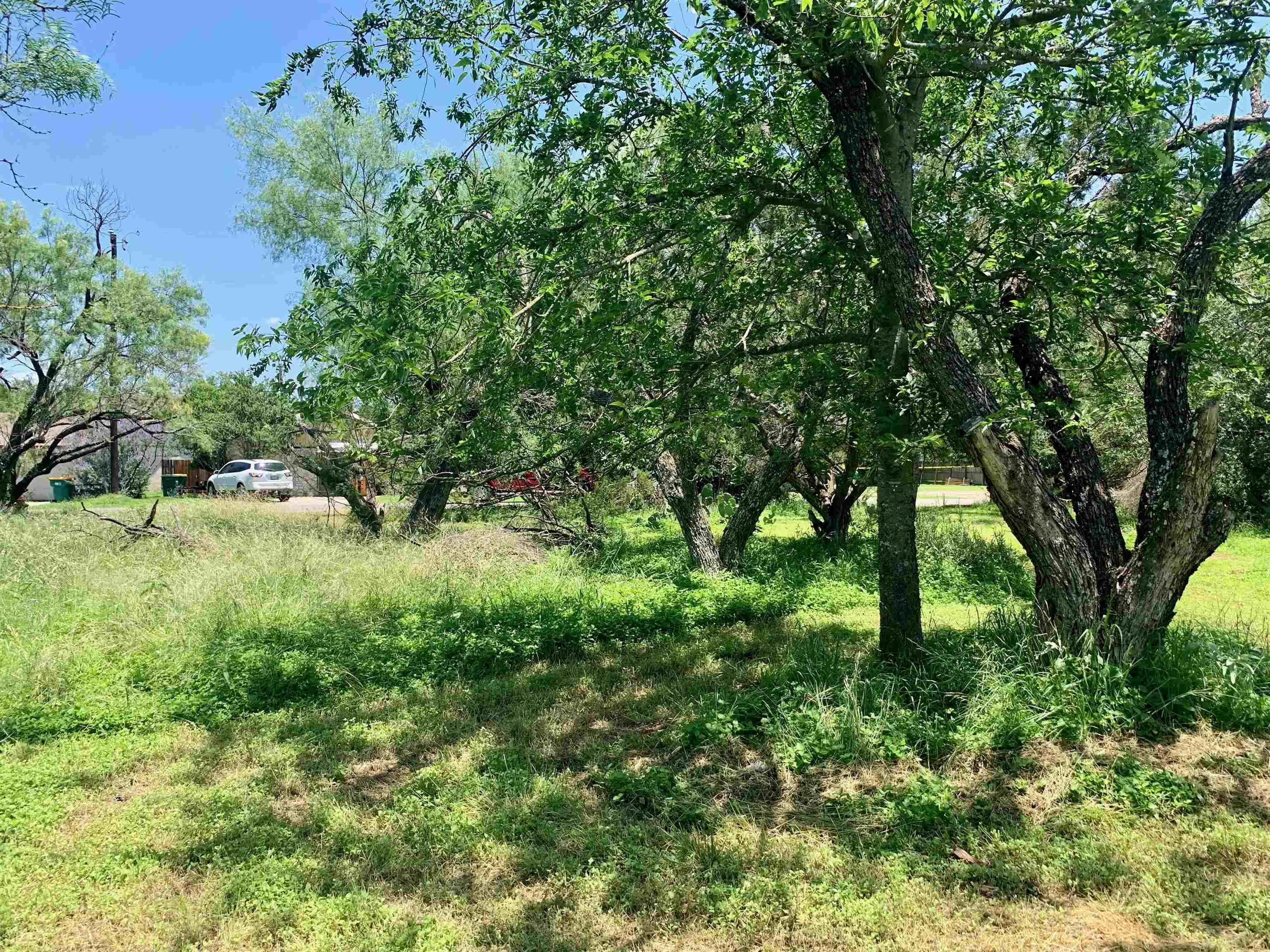 Tbd Aspen Lane Property Photo 7