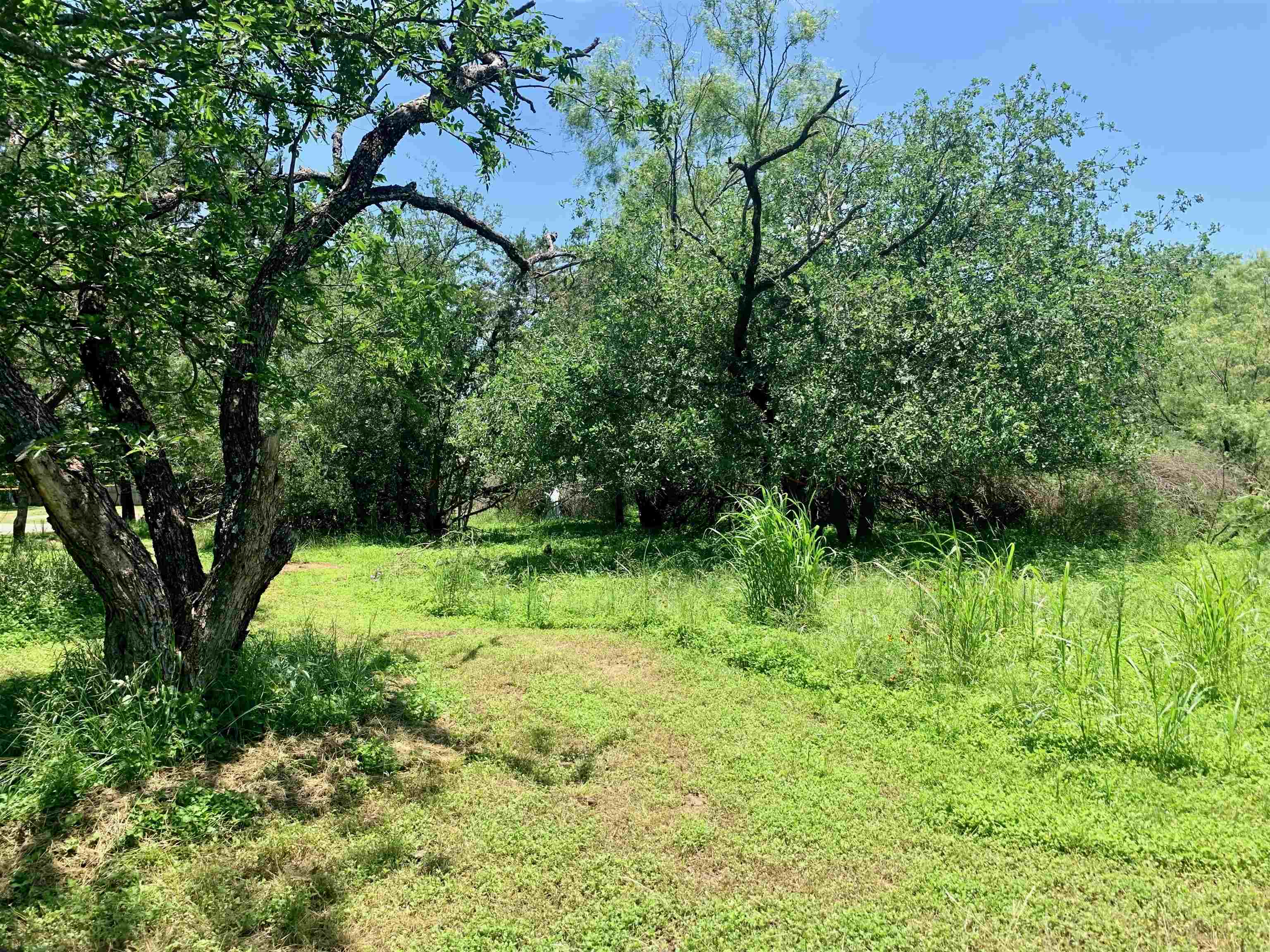 Tbd Aspen Lane Property Photo 8
