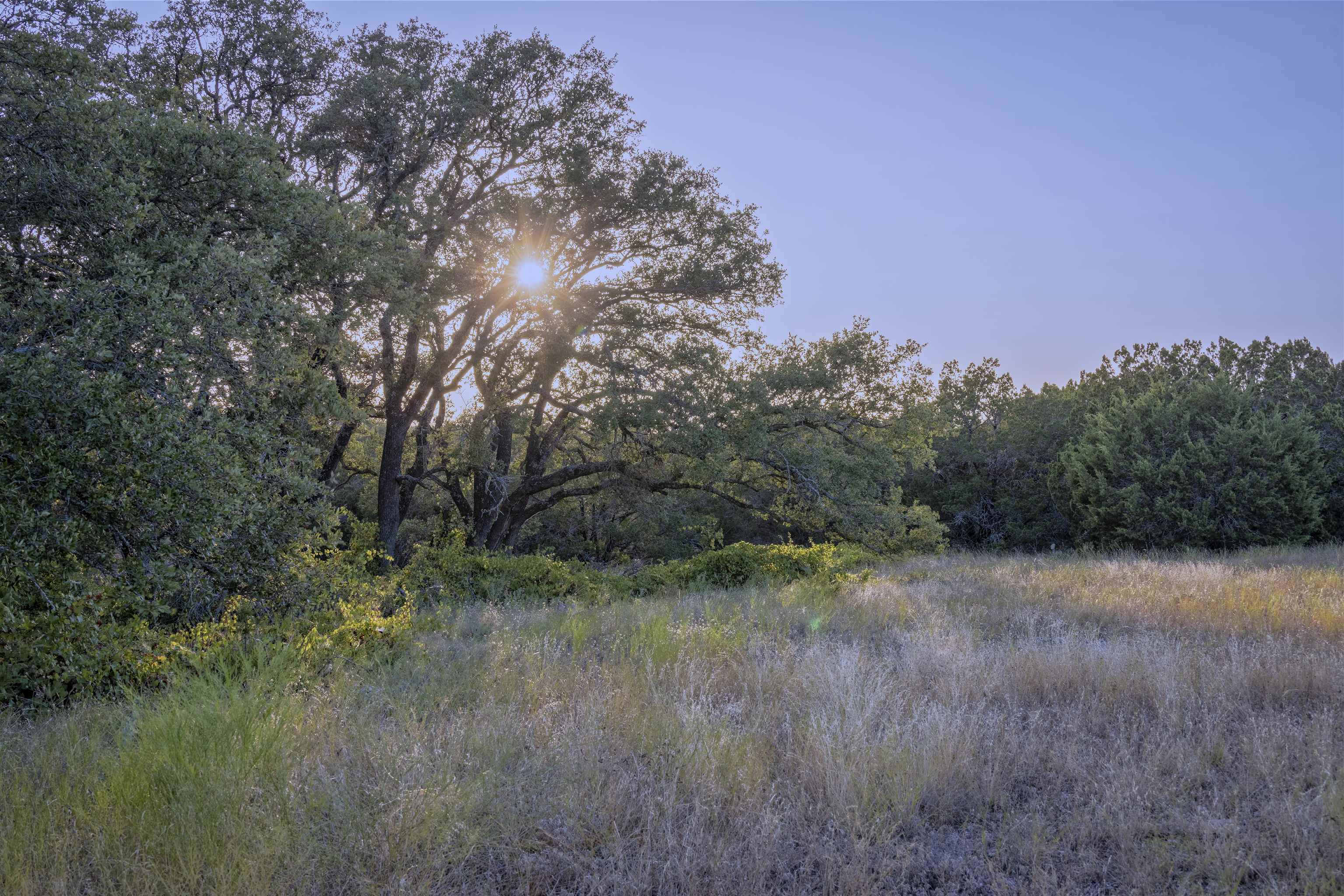 Lot 16 Rain Lily Ct Property Photo 3