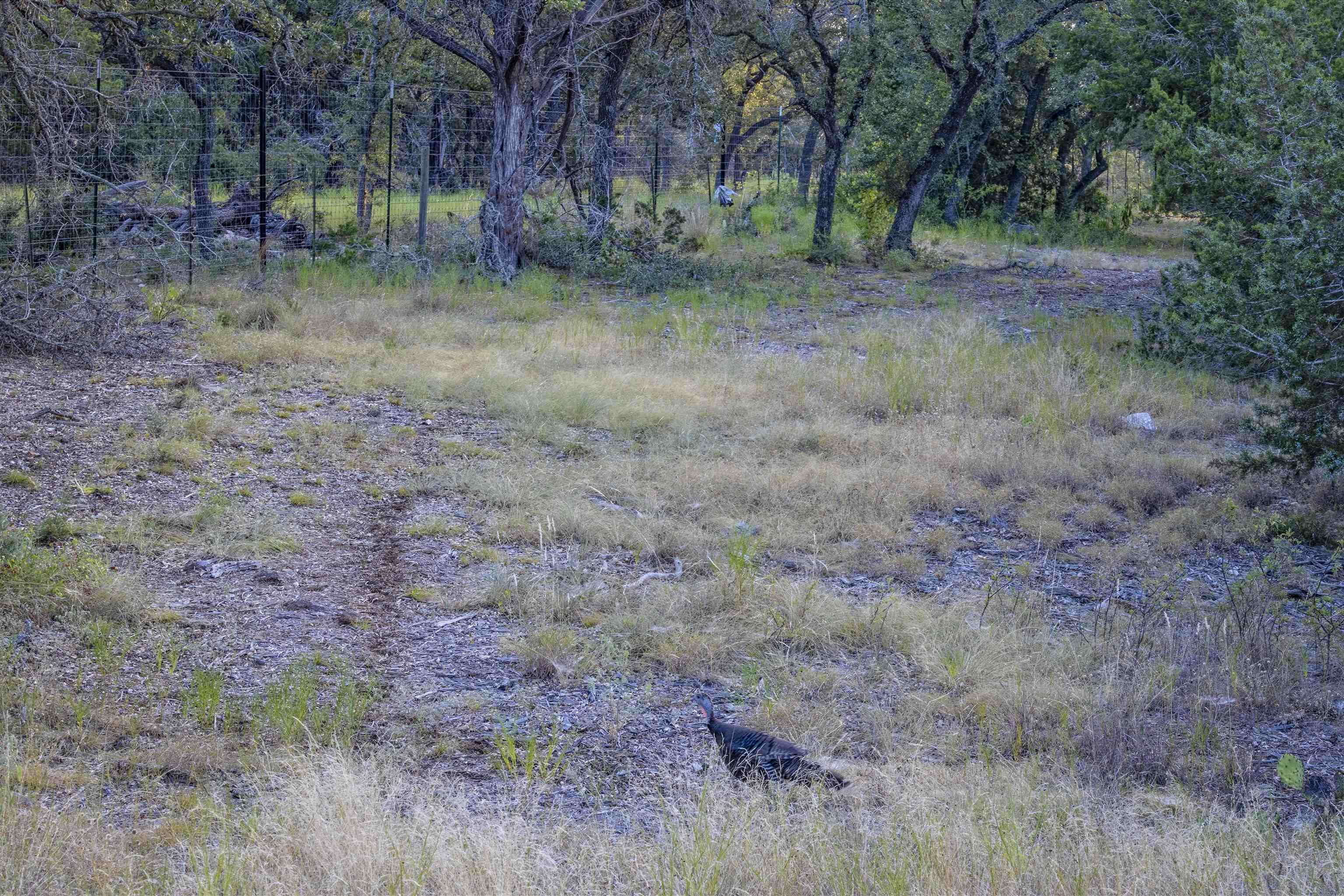 Lot 16 Rain Lily Ct Property Photo 4