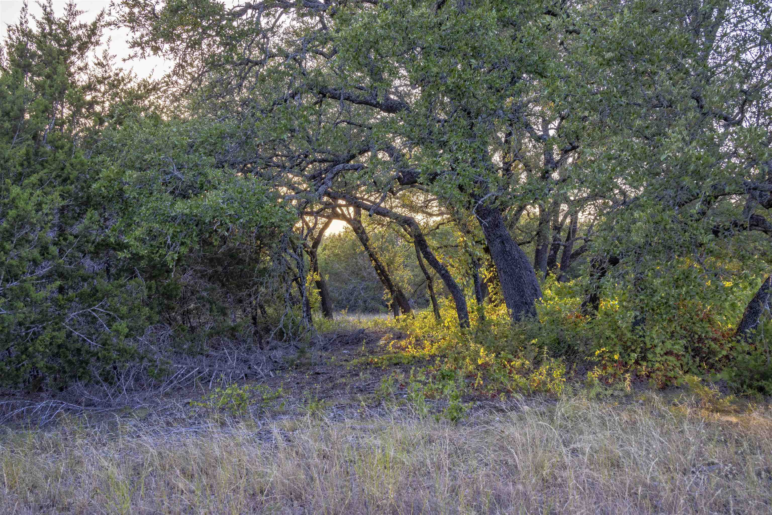 Lot 16 Rain Lily Ct Property Photo 5