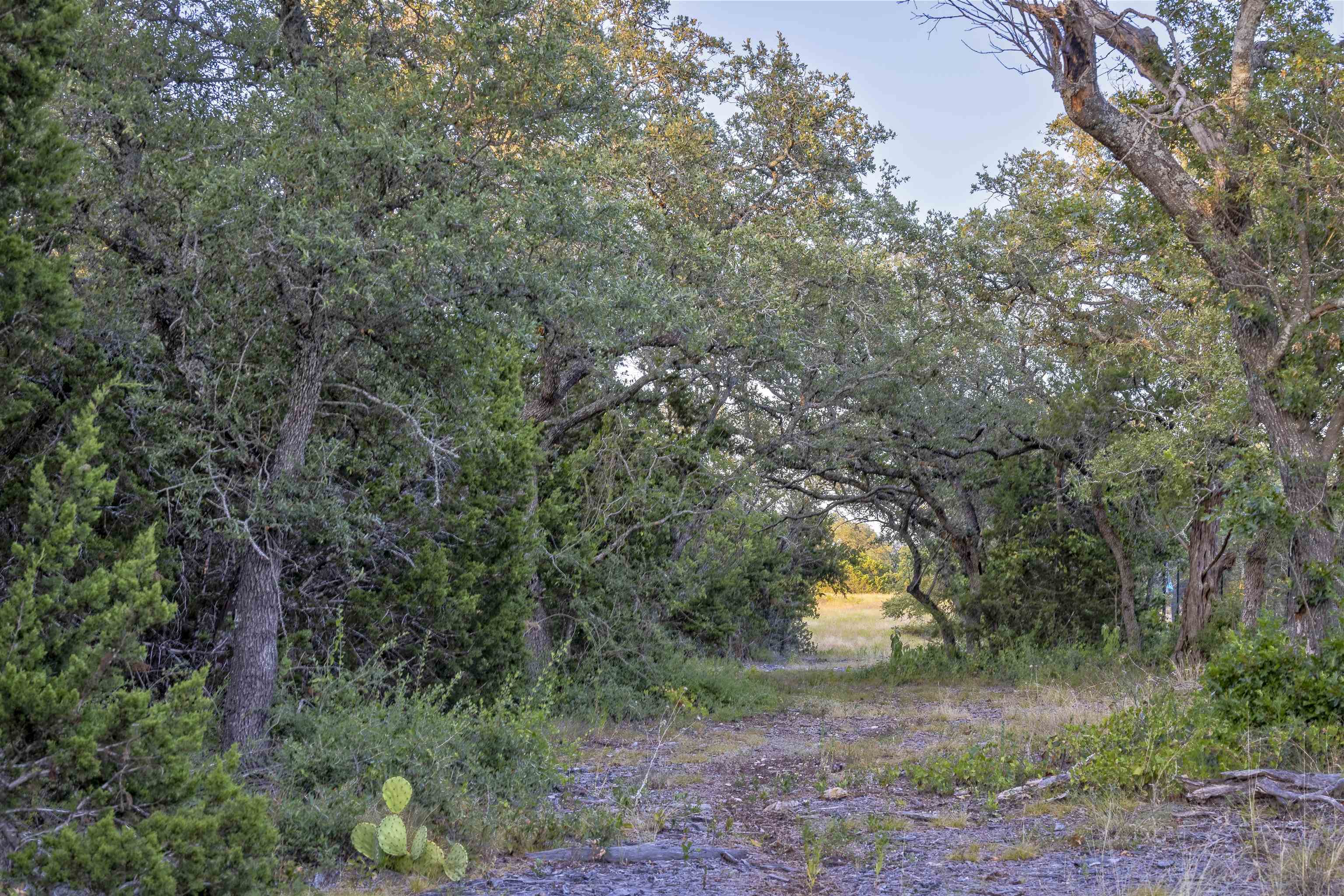 Lot 16 Rain Lily Ct Property Photo 12