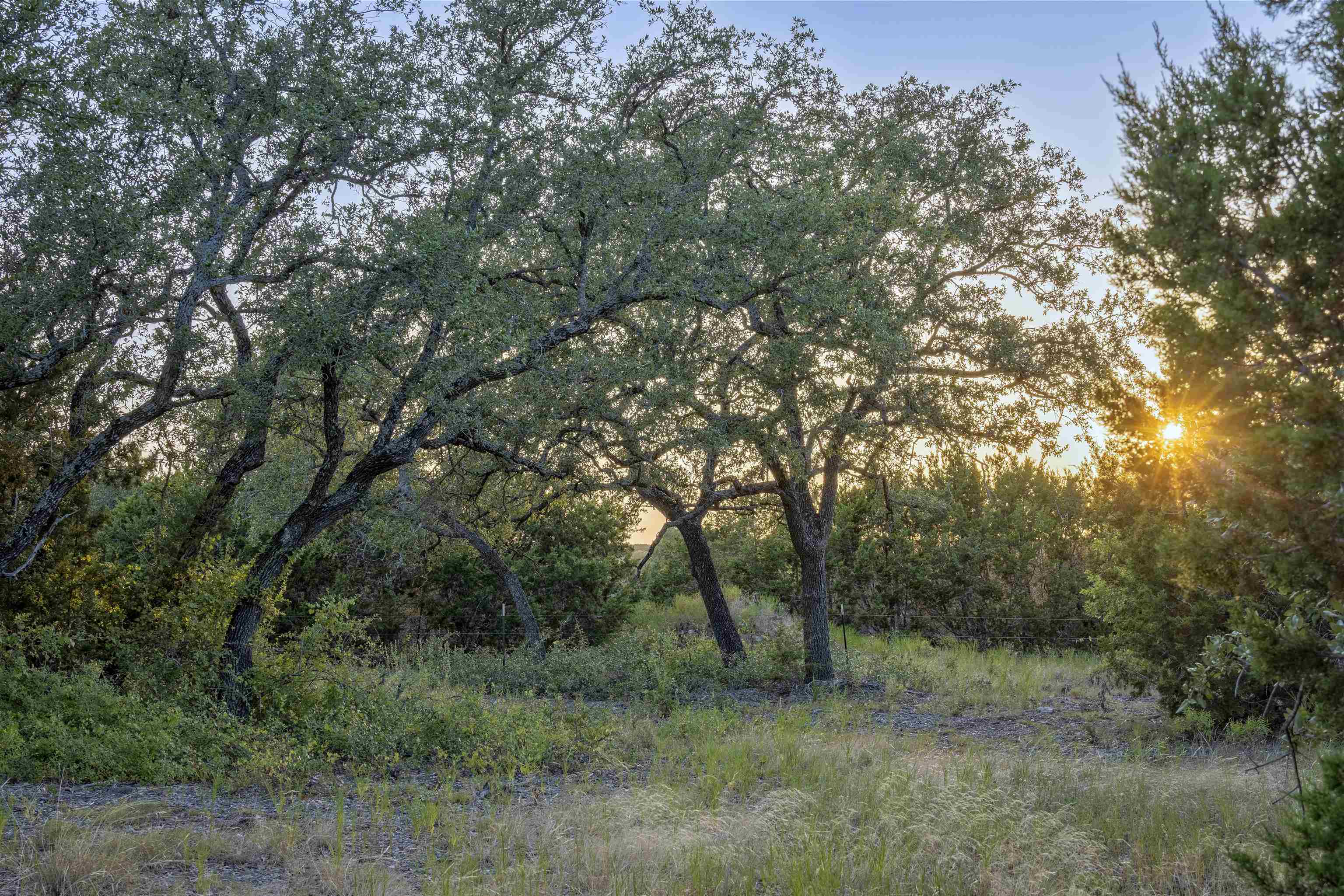 Lot 16 Rain Lily Ct Property Photo 13