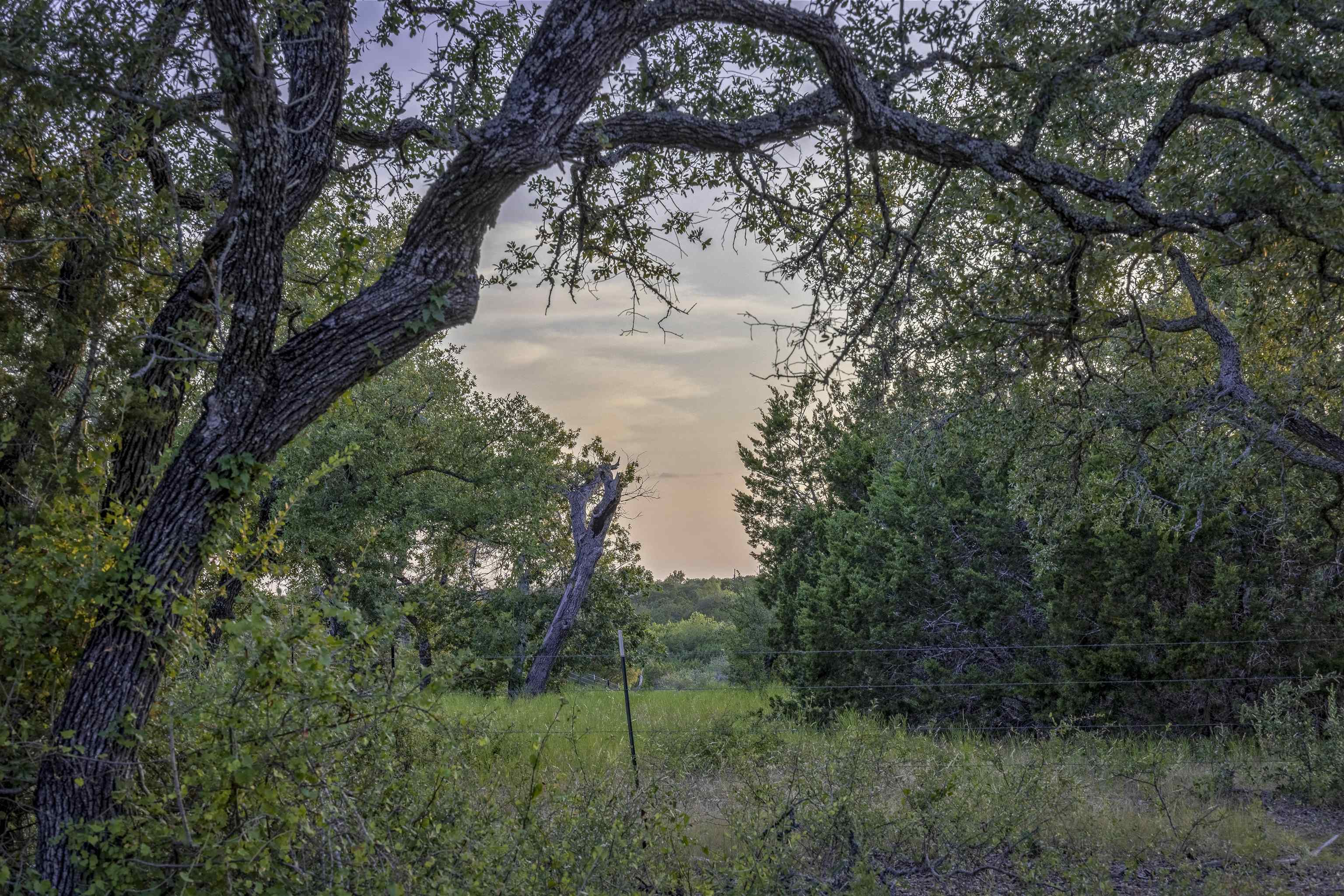 Lot 16 Rain Lily Ct Property Photo 14