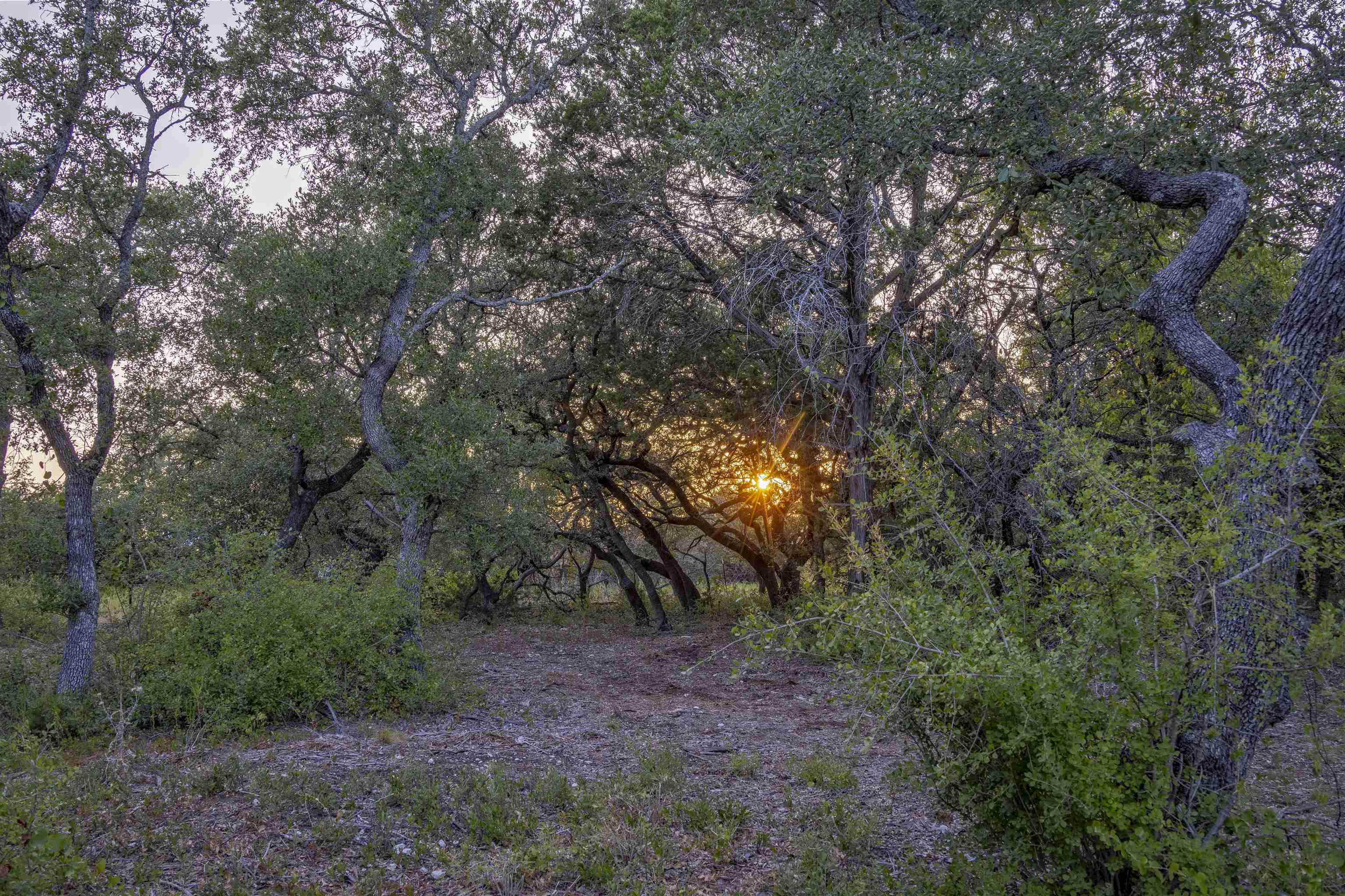 Lot 16 Rain Lily Ct Property Photo 15
