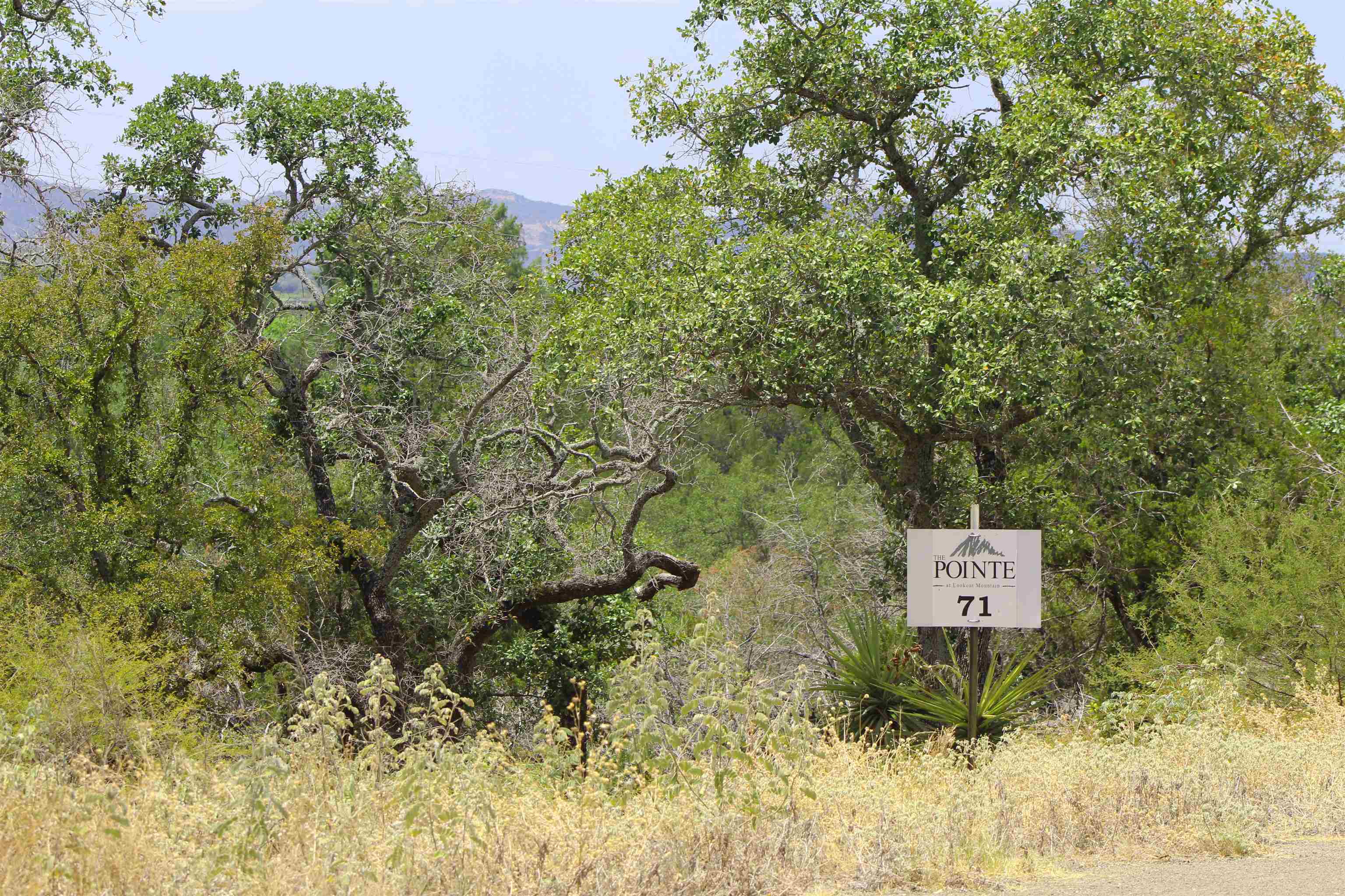 Lot 71 War Bonnet Rdg Property Photo 9