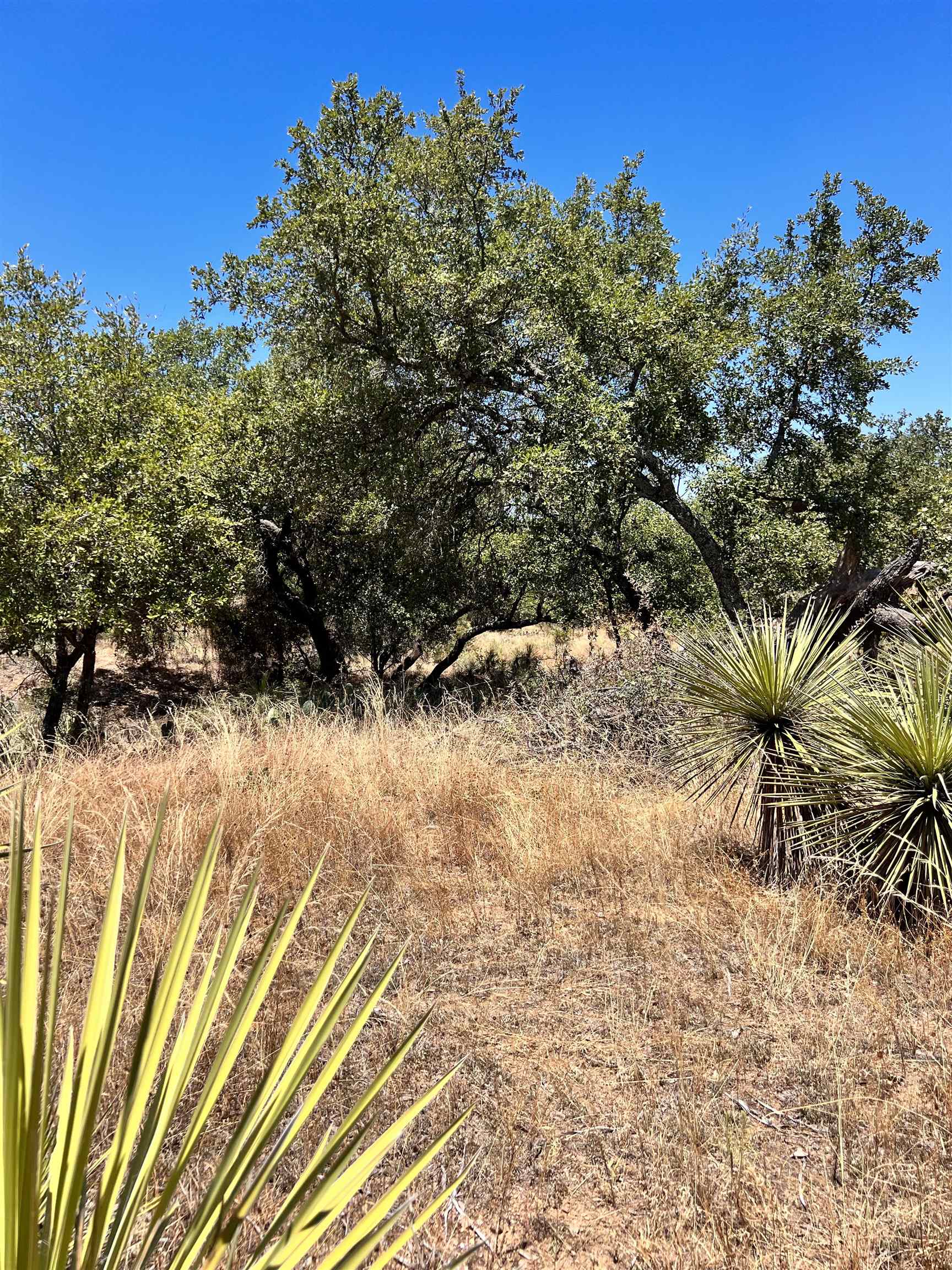 Tbd W Castlelake Drive Property Photo 18