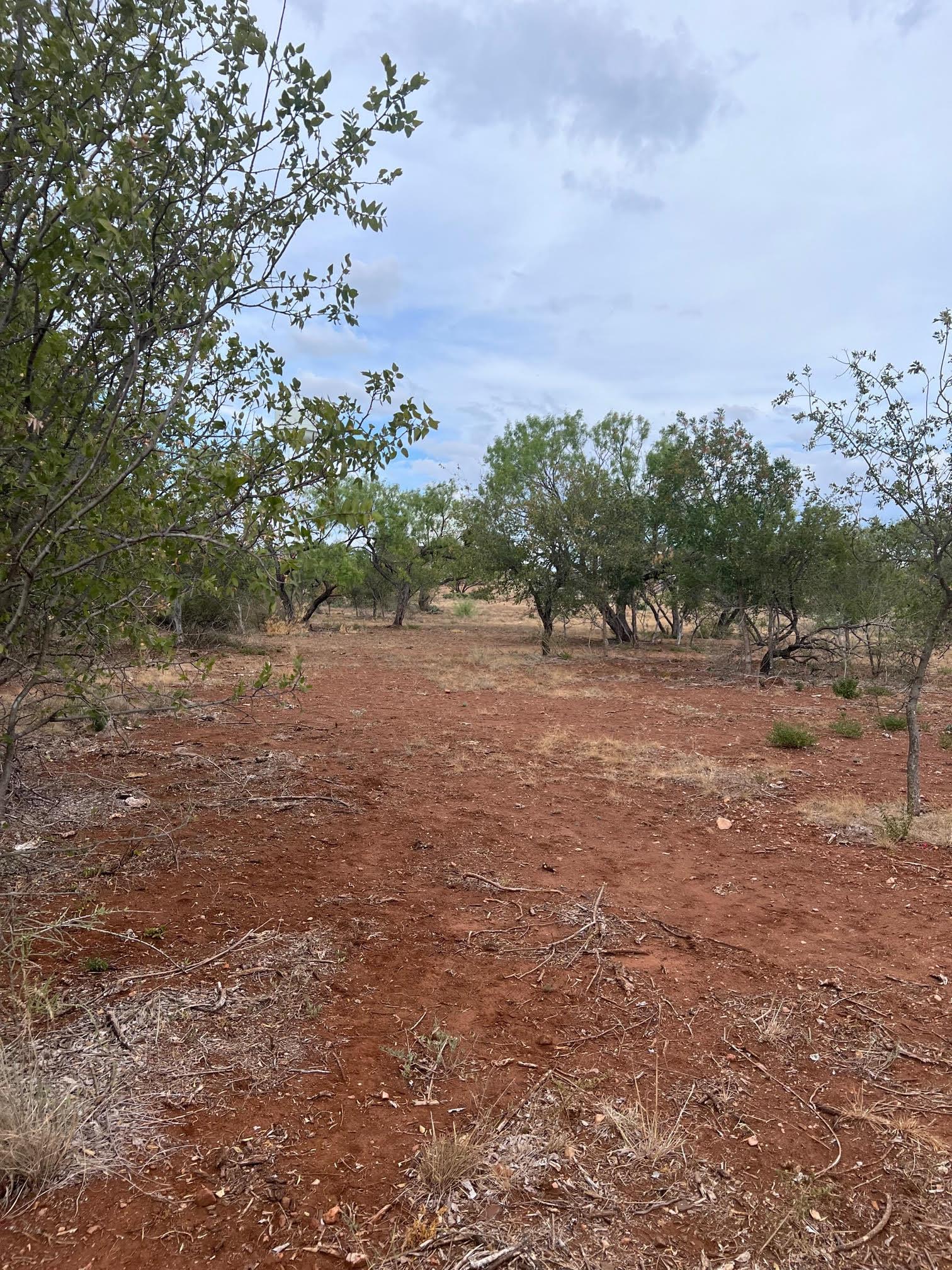 Tbd Old Six Mile Lots1-3 Road Property Photo 3