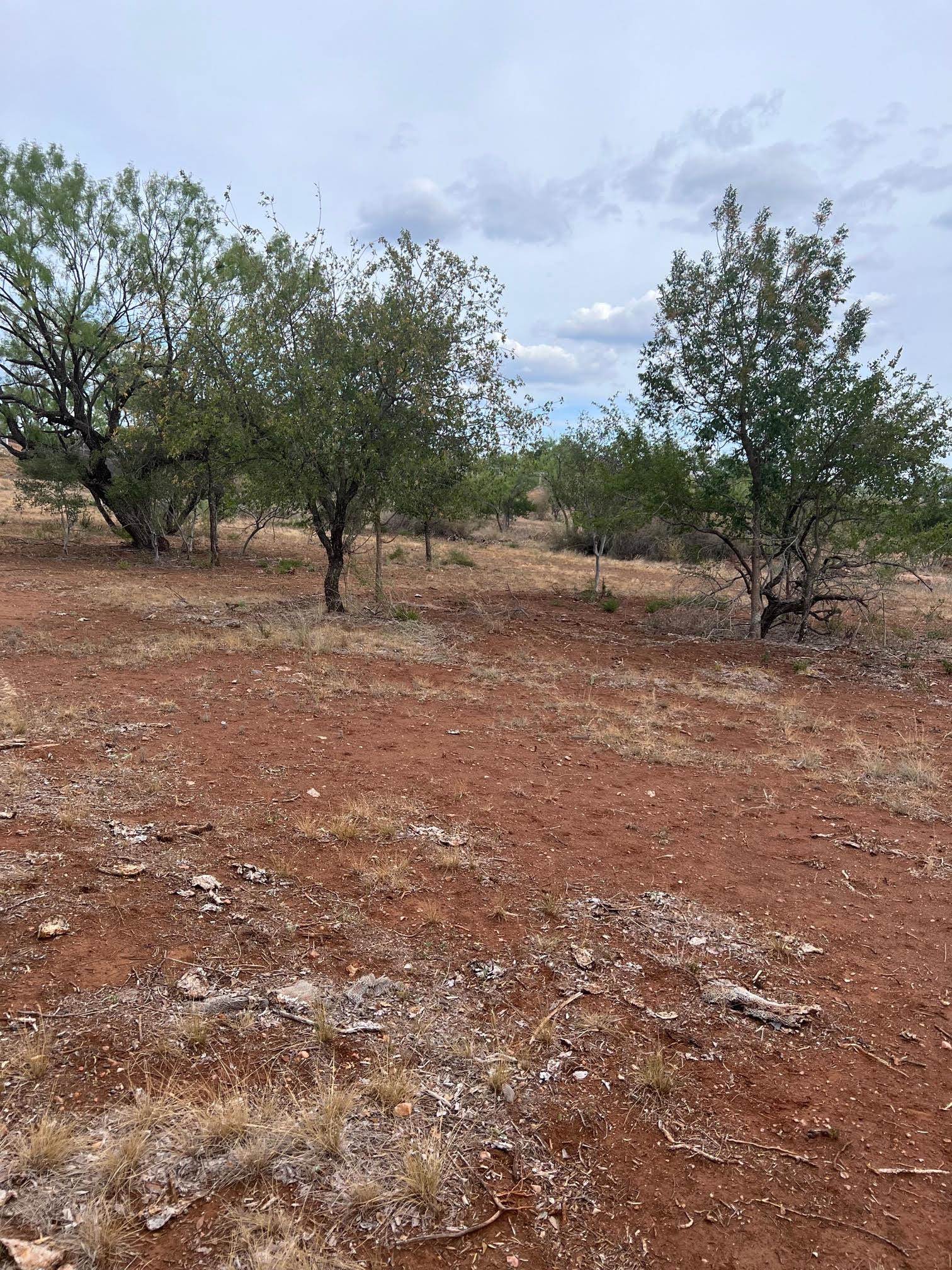 Tbd Old Six Mile Lots1-3 Road Property Photo 4