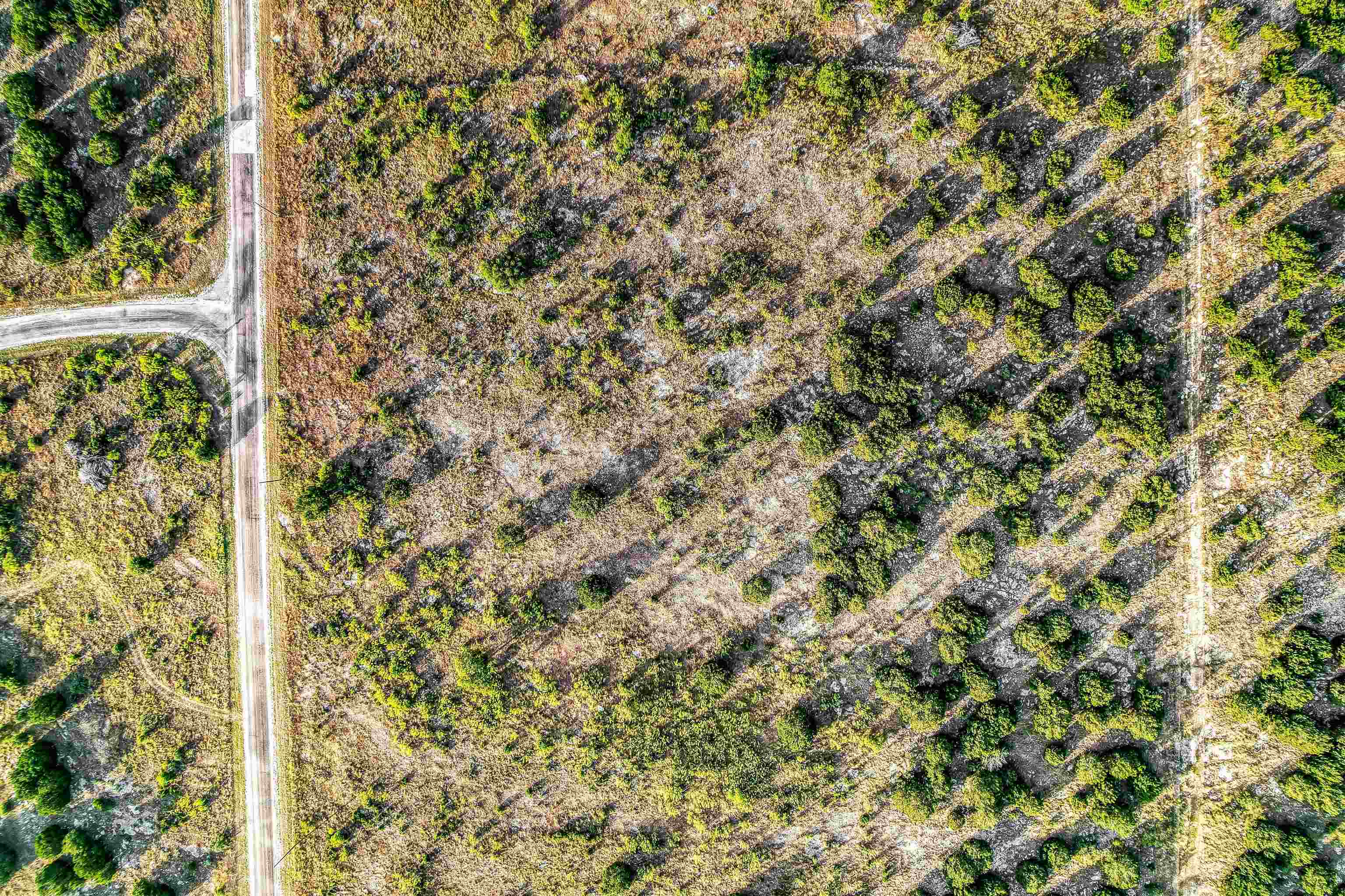 Lot 181 Three Creeks Drive Property Photo 3