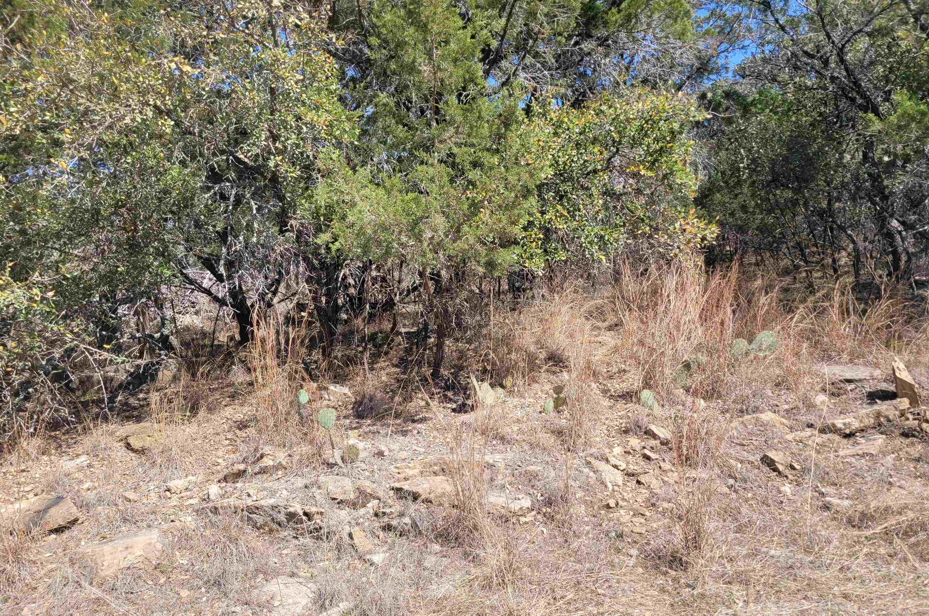 Tbd Electron Lot 15 Property Photo 1