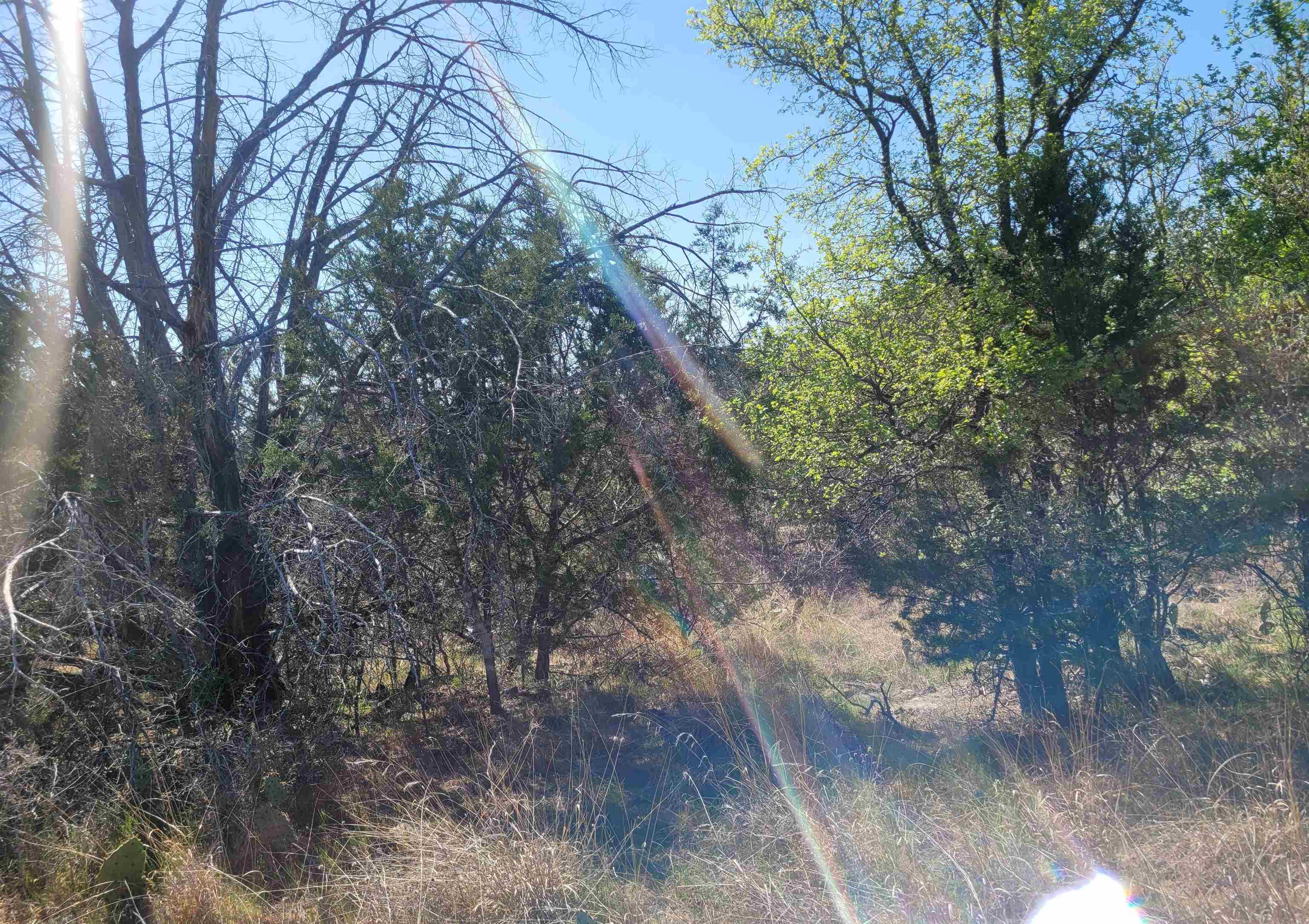 Tbd Electron Lot 11 Property Photo 1