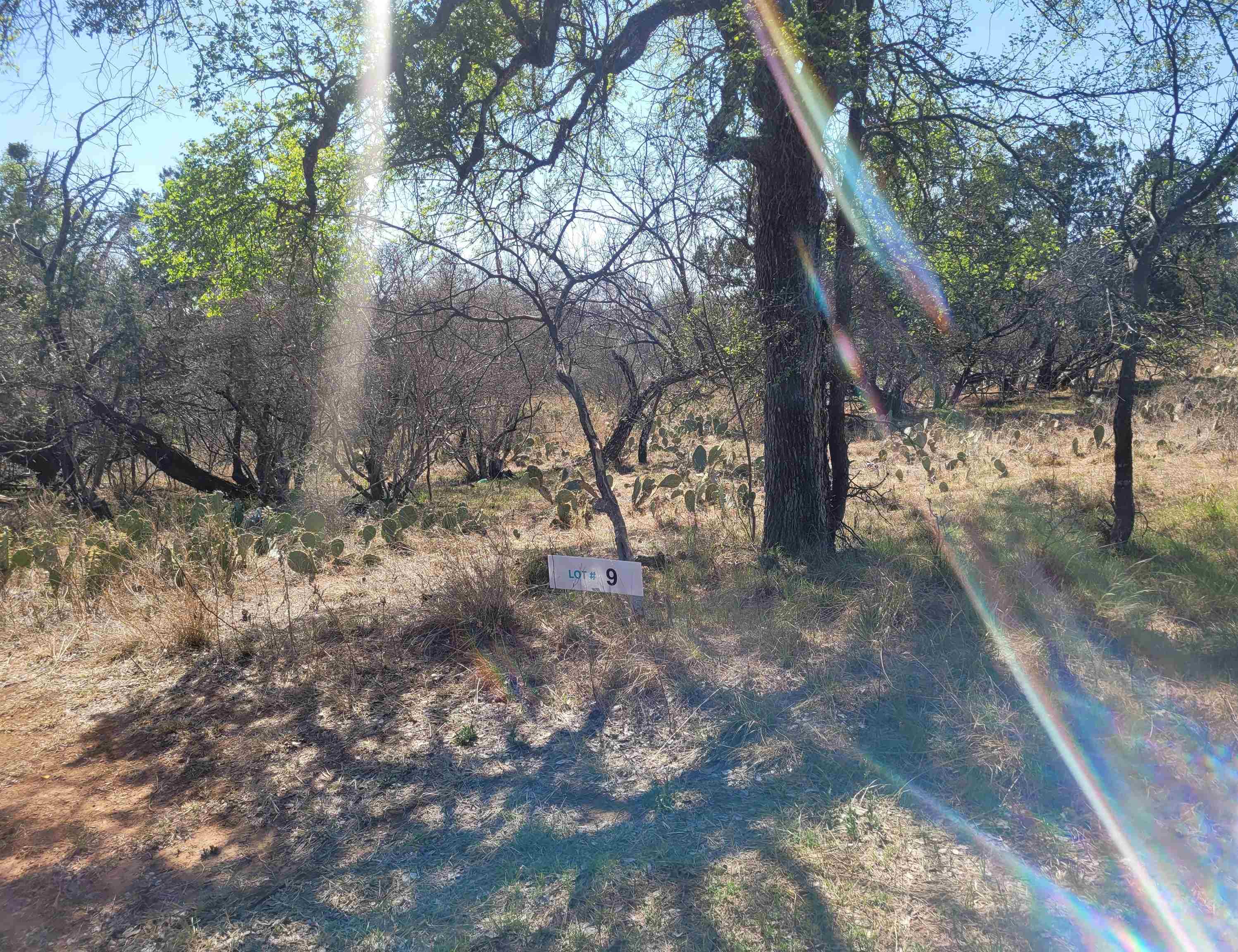 Tbd Electron Lot 9 Property Photo 1