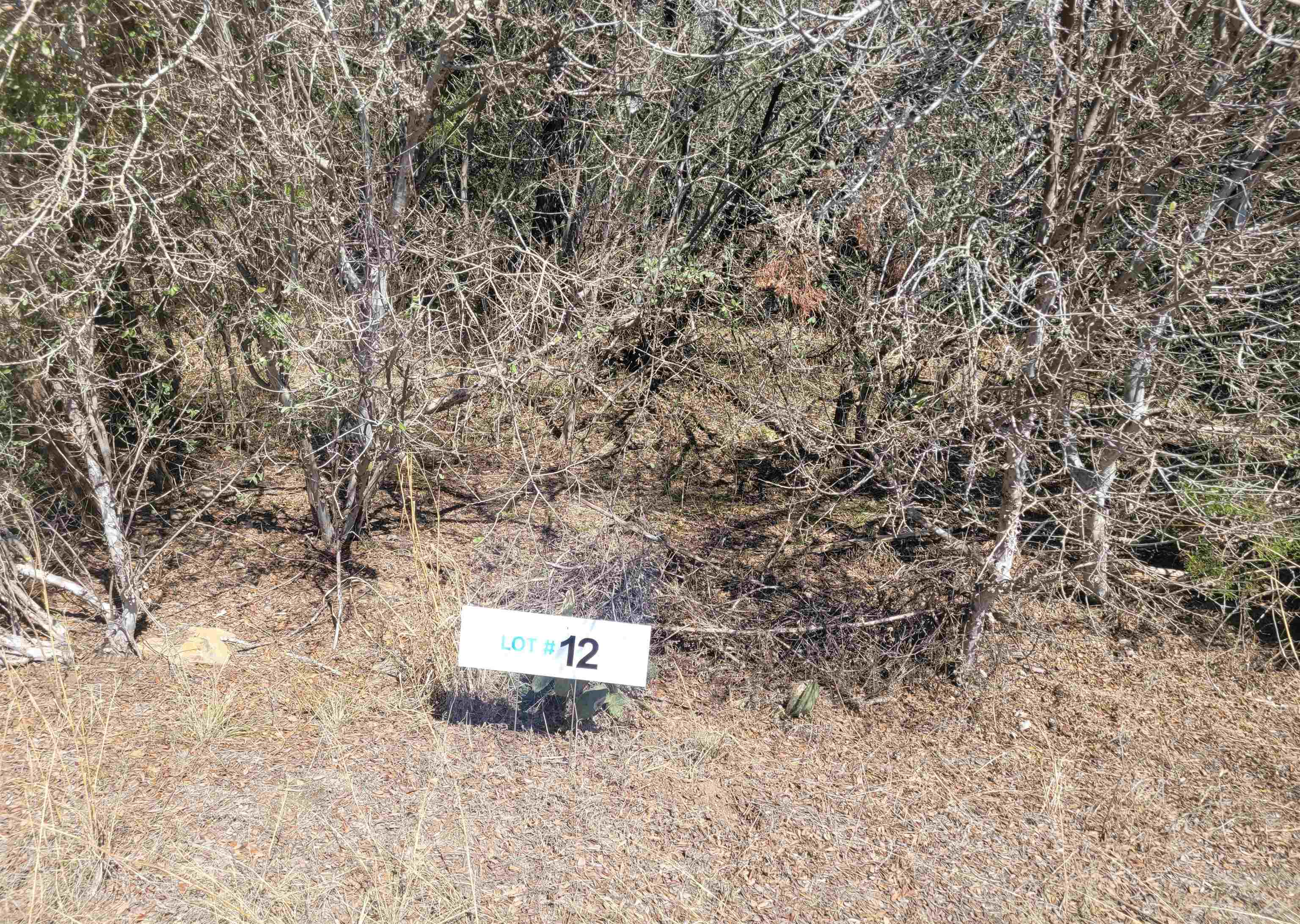 Tbd Stellar Lot 12 Property Photo 1