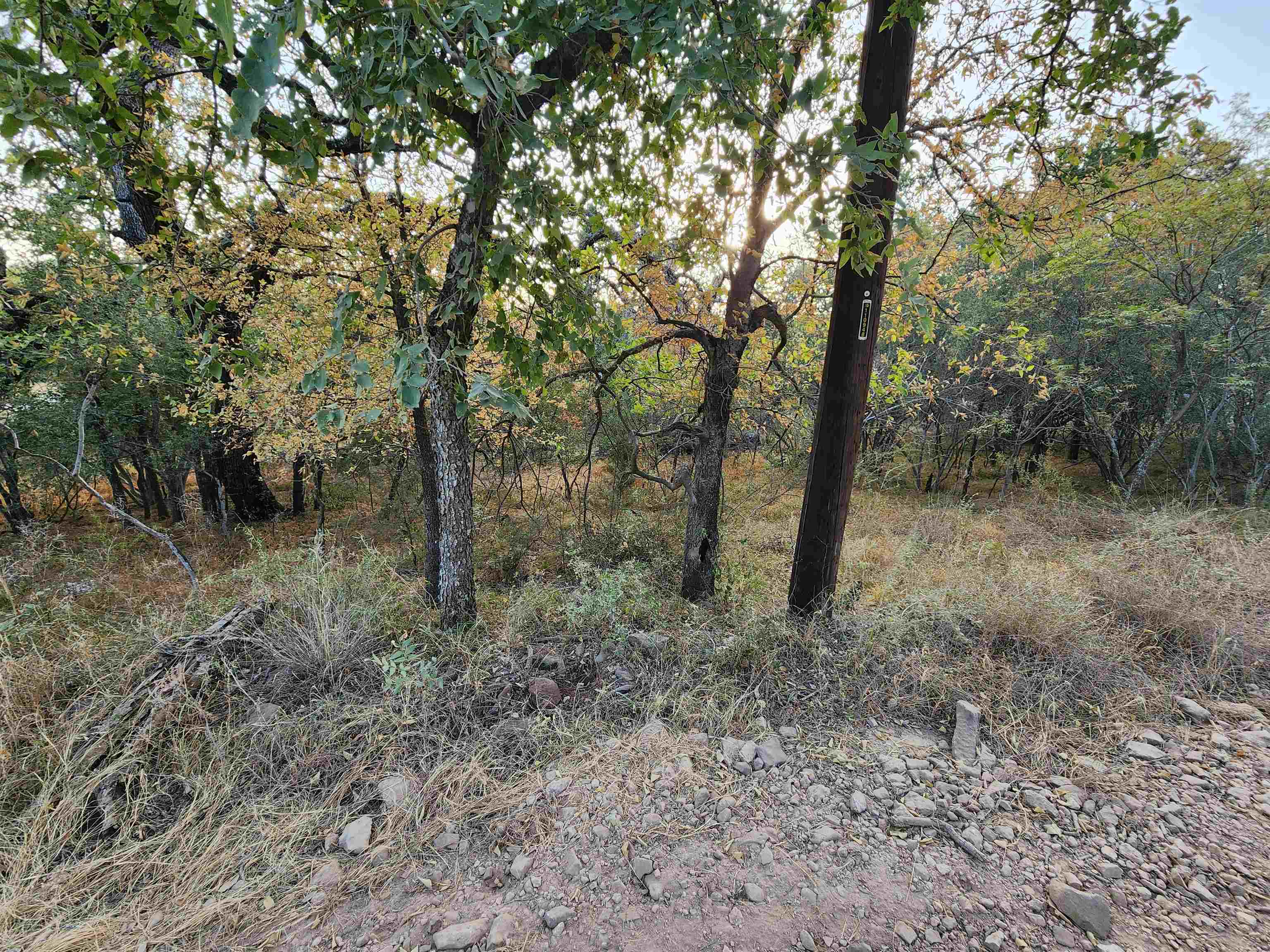Tbd Stellar Lot 12 Property Photo 5
