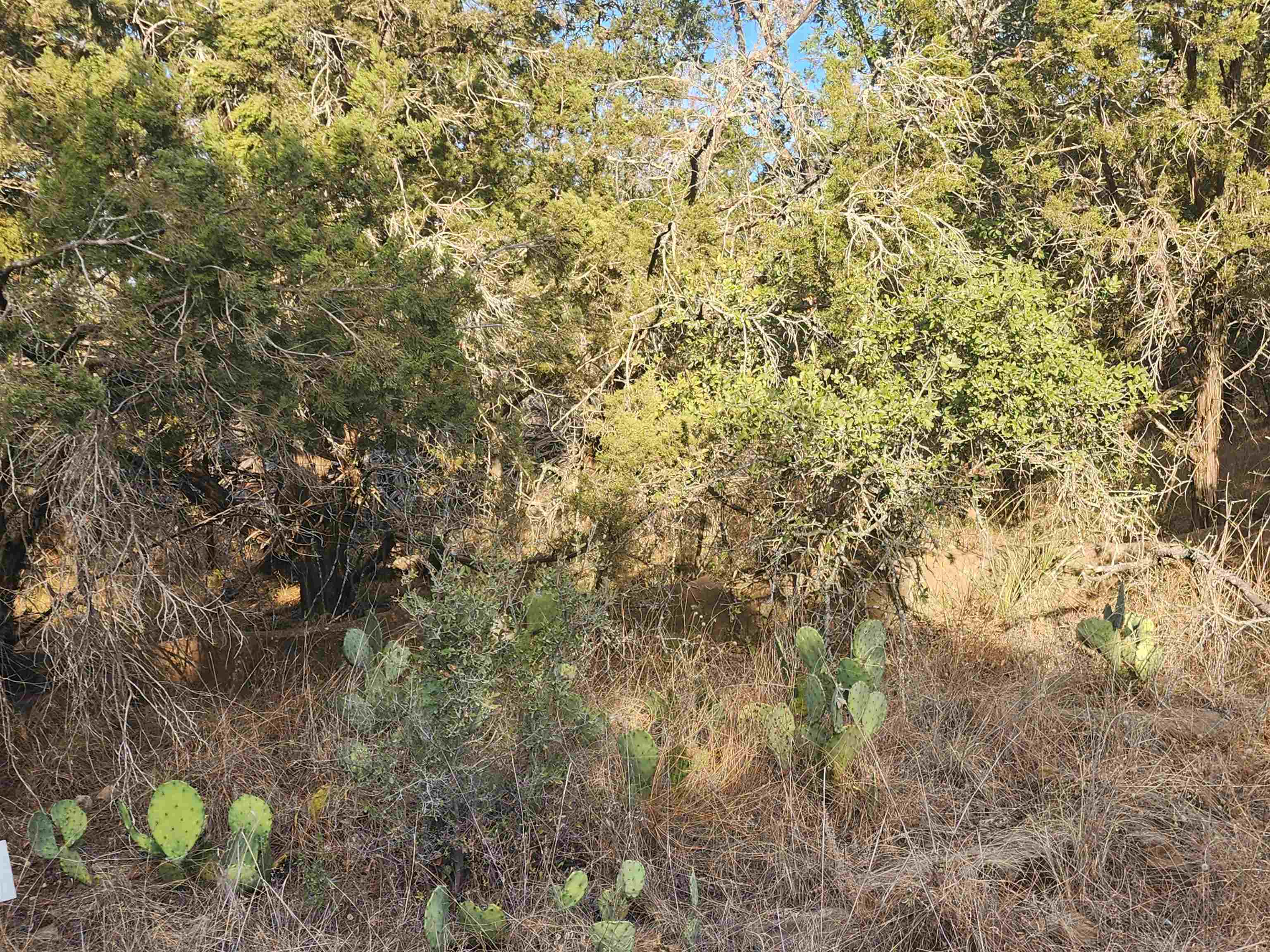 Tbd Stellar Lot 7 Property Photo 5