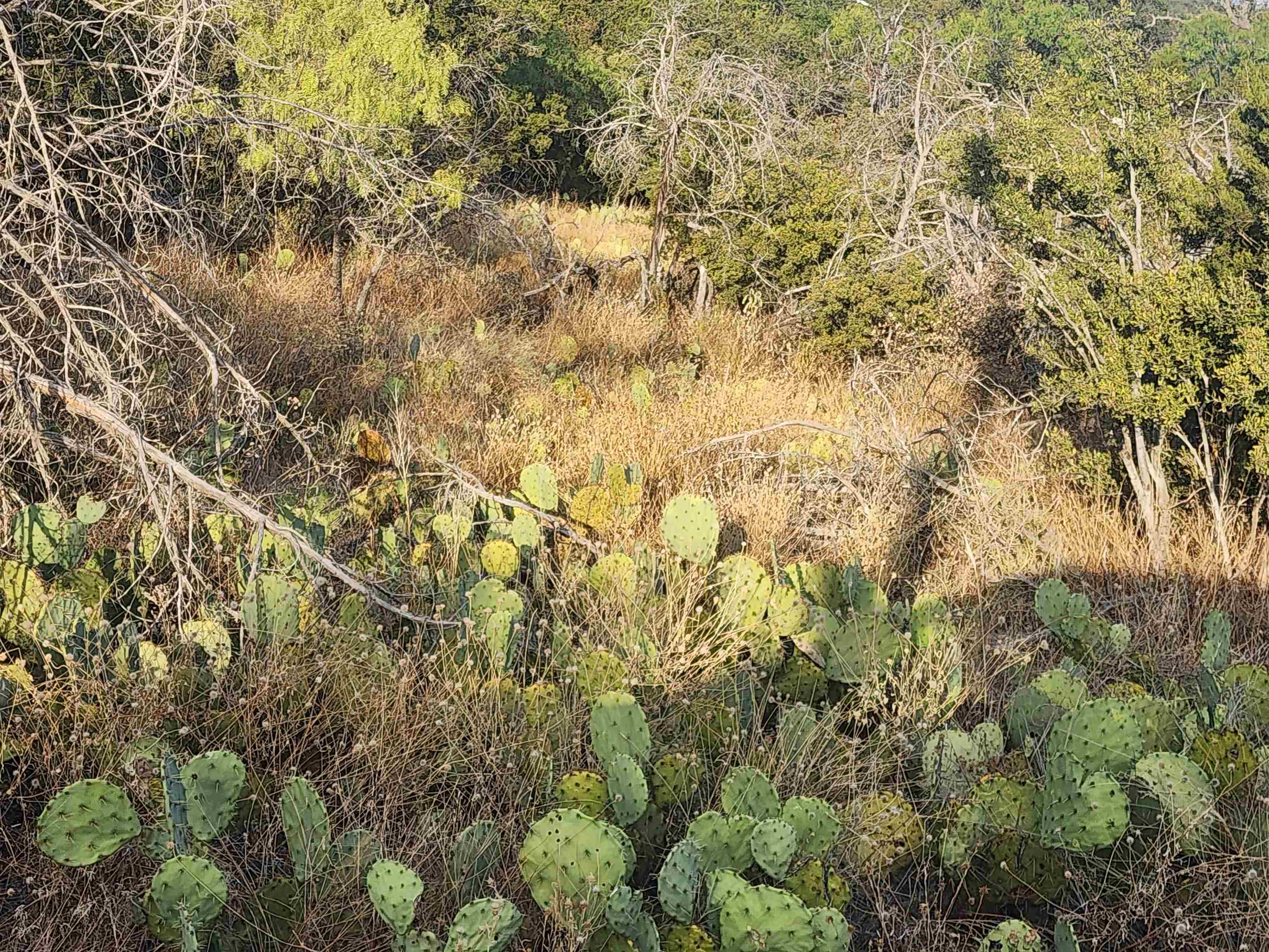 Tbd Stellar Lot 9 Property Photo 3